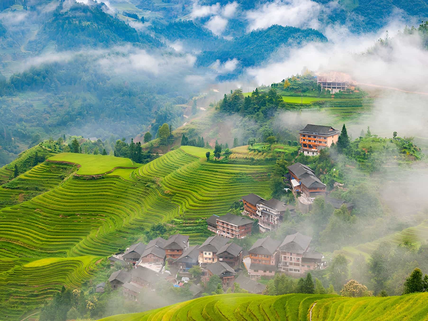 Longji terraces, China. Photo: Host, China Adventure