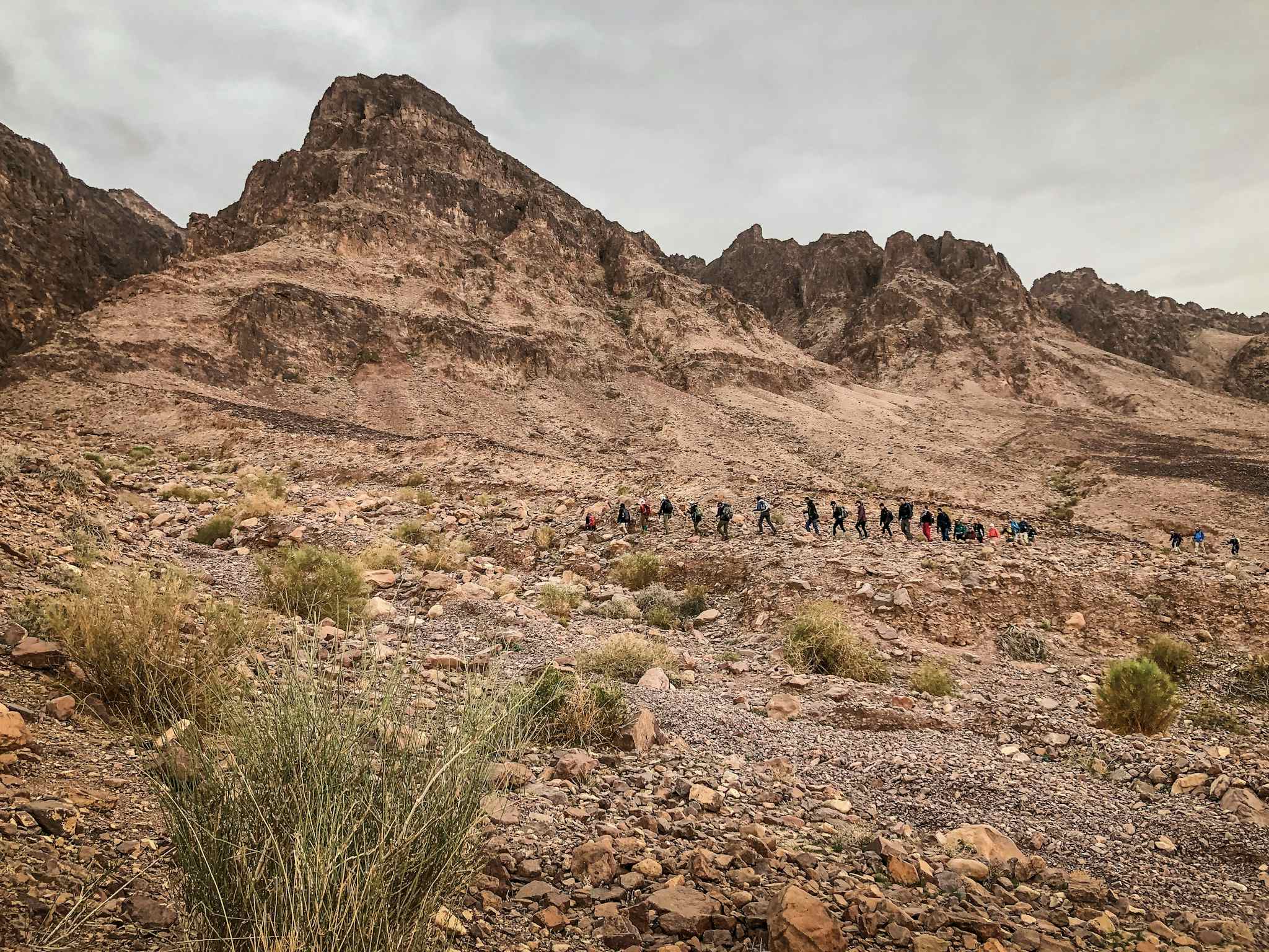 Hiking group on The Jordan Trail
Host image - Experience Jordan / The Jordan Trail