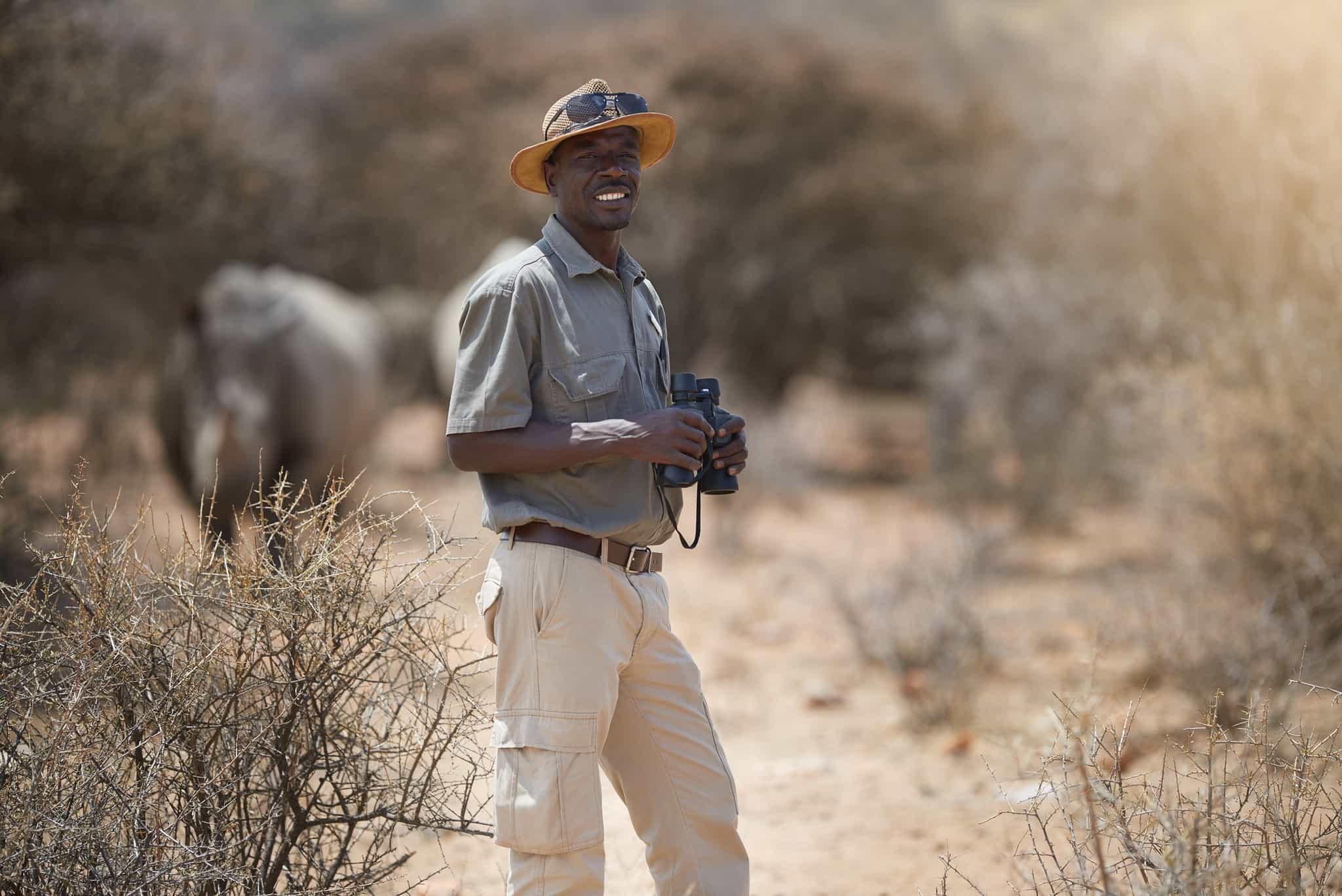 Portrait of a game ranger looking at a group of rhinos in the wild.