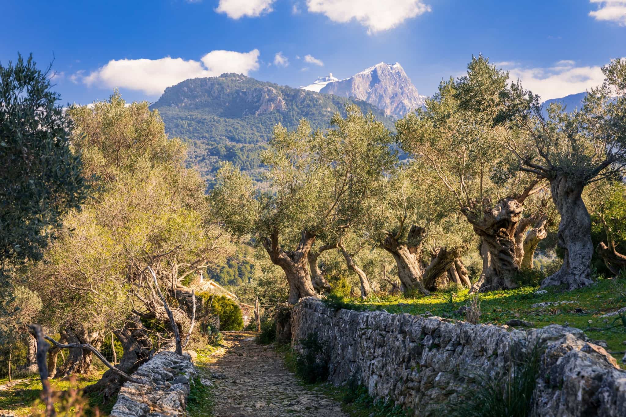 GR221 trekking trail near Soller, Mallorca, Spain.