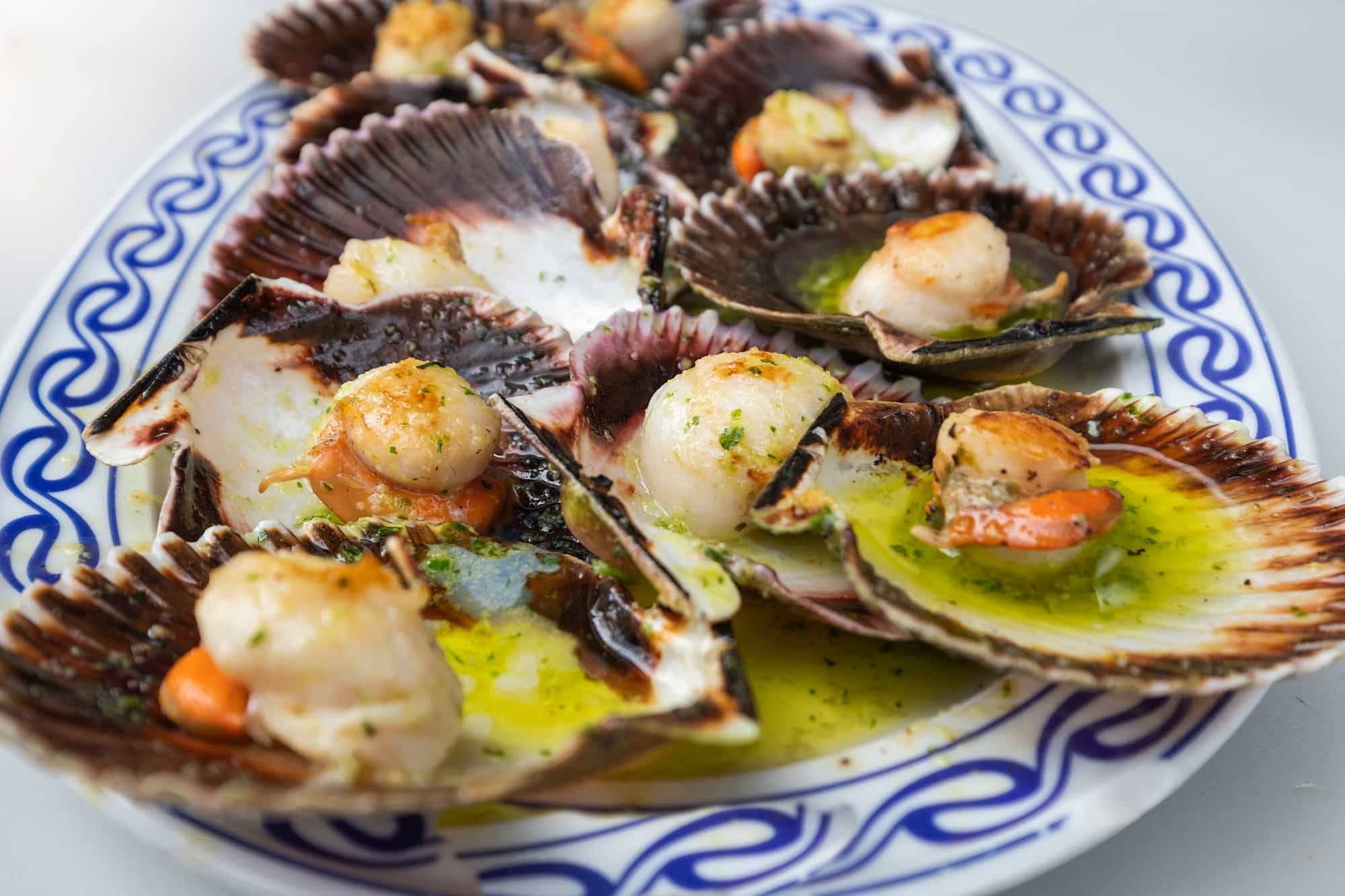 Zamburina or scallops, a traditional Galician seafood.
