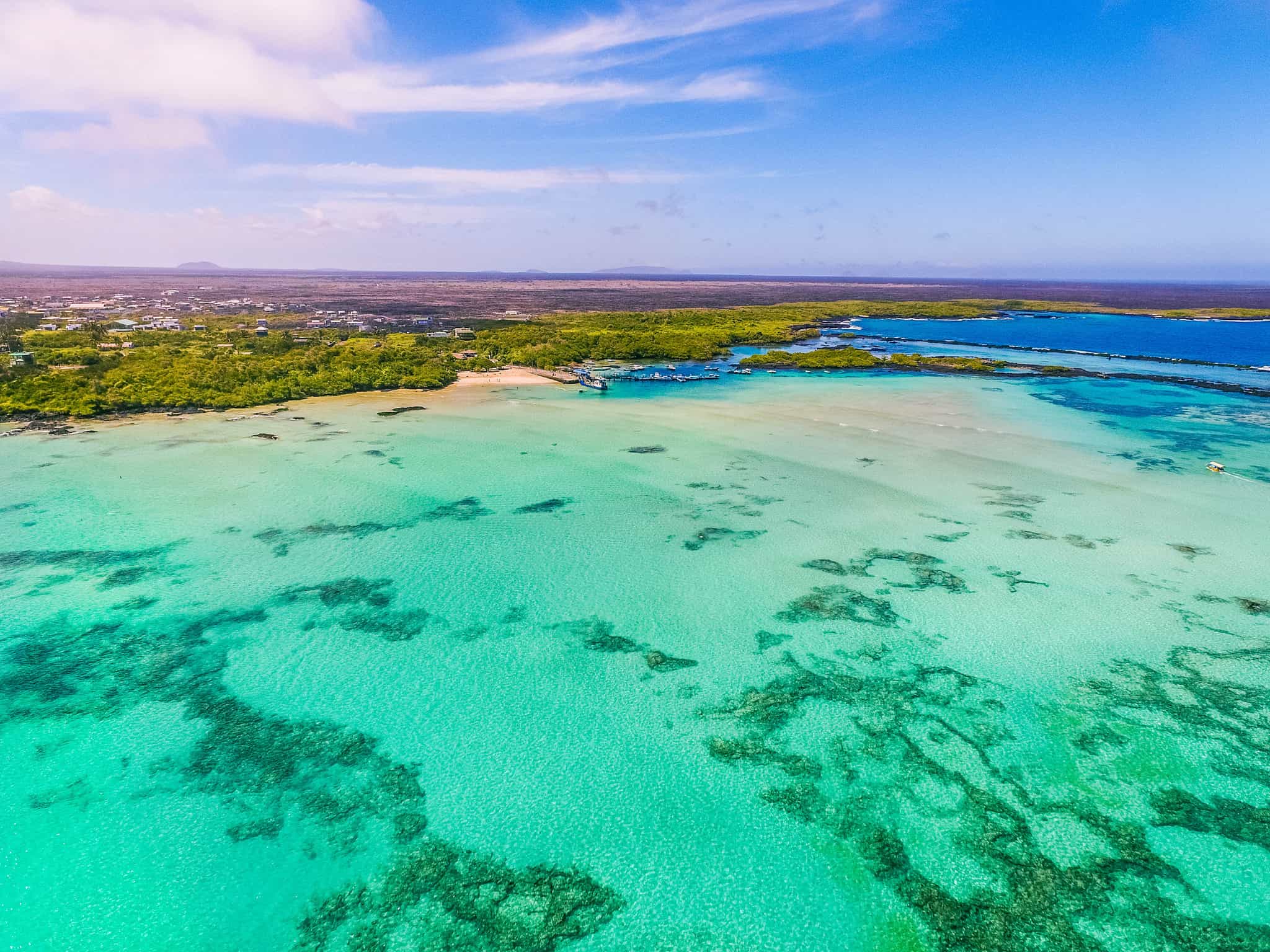 Isabela Island, Galapagos.