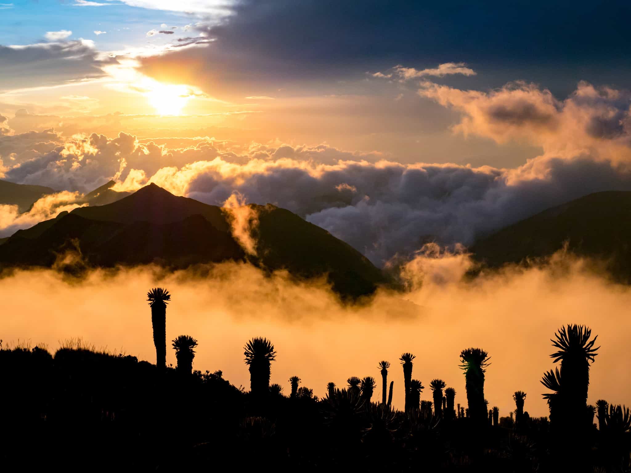 Trek Colombia’s Mountains and Lost City