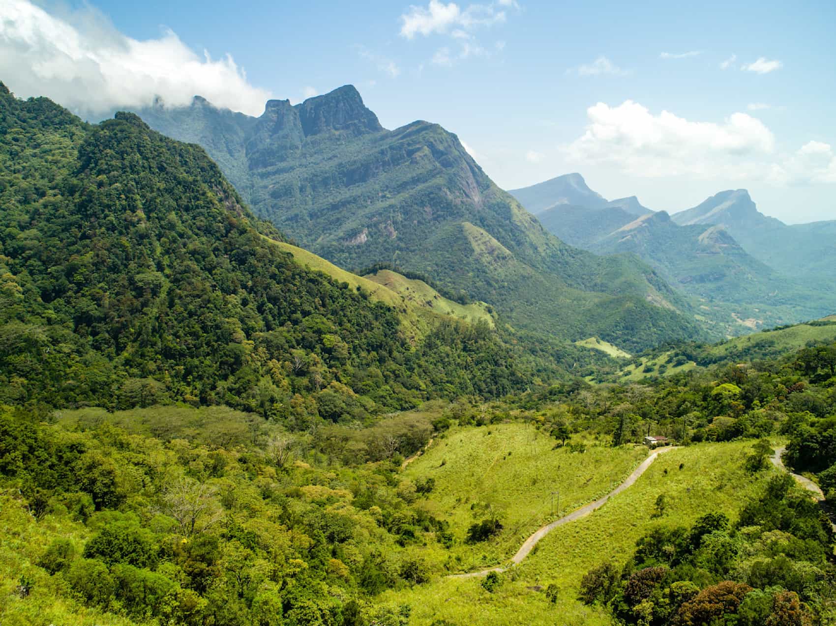An aerial view of the Knuckles Forest Reserve Mountain Range in the central province of Sri Lanka