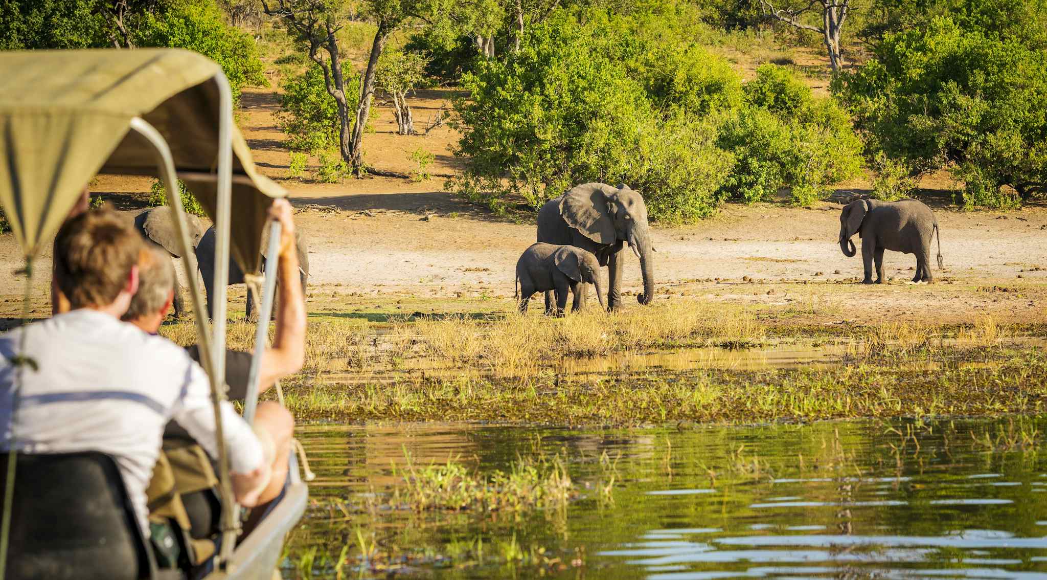 Safari goers on a Chobe River Cruise, Botswana
Shutterstock: 480338395