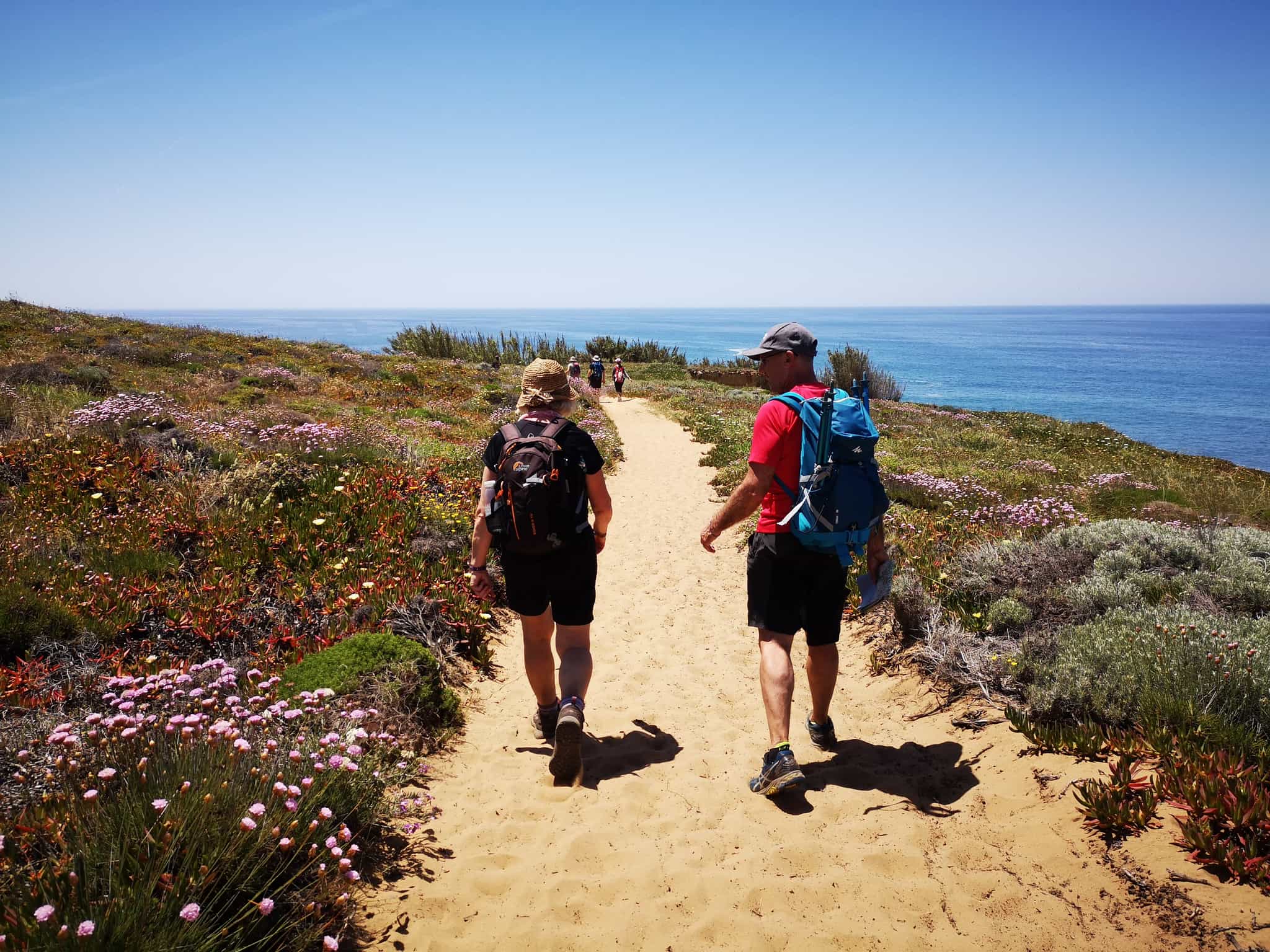 Hikers on a sandy trail lined with wildflowers on the Rota Vicentina, Portugal