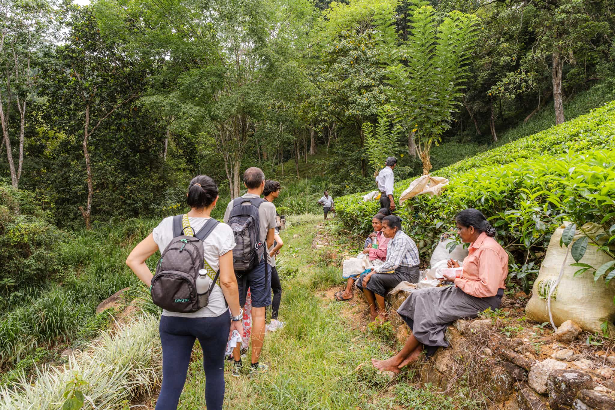 Hiking to Tamil villages near Kandy in Sri Lanka