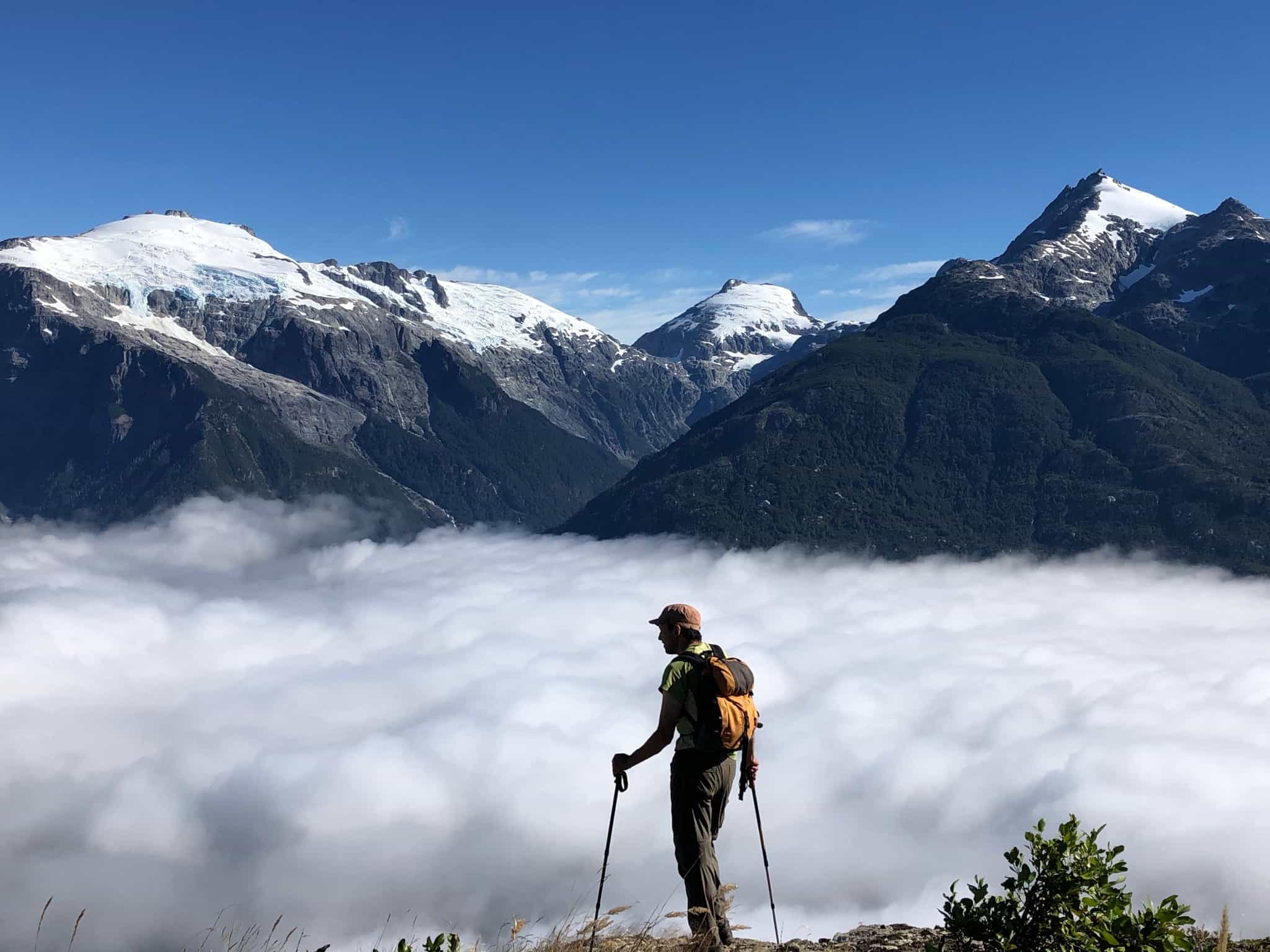 Mirador del Valle Ventisquero, Rincon Bonito, Chile Mixed Activity, BirdsChile