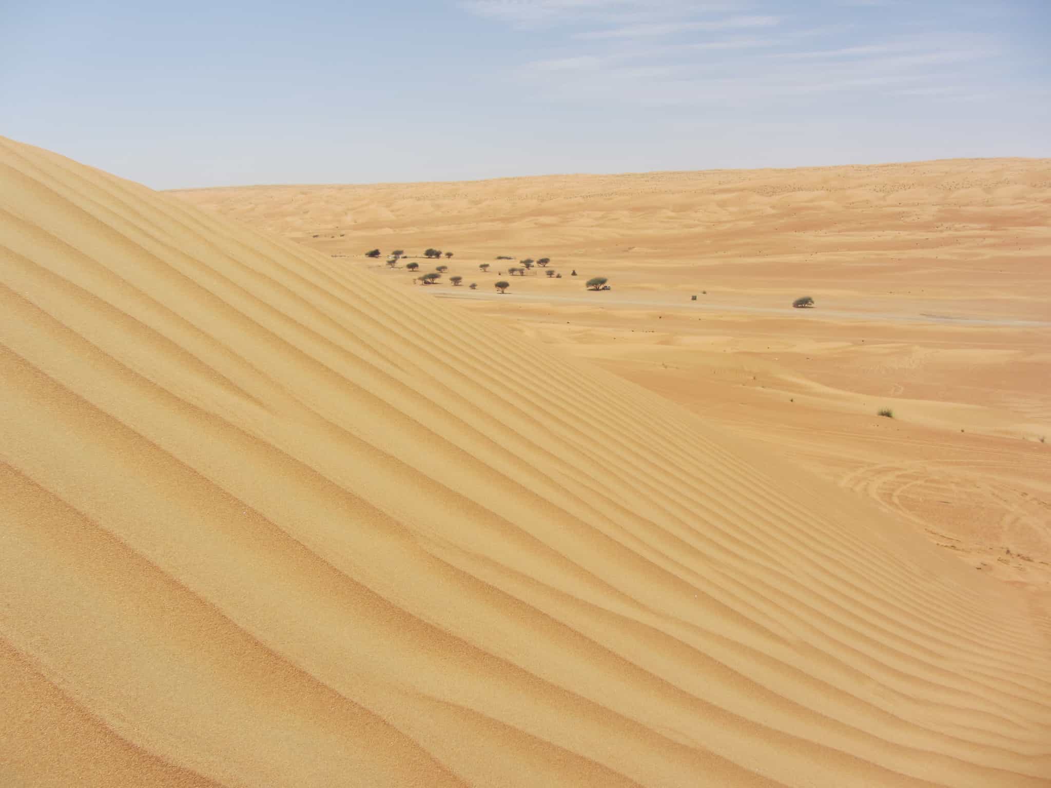 Oman Desert