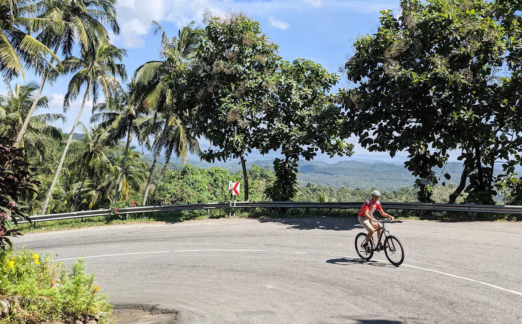 Cycling palm tree lined roads in Sri Lanka