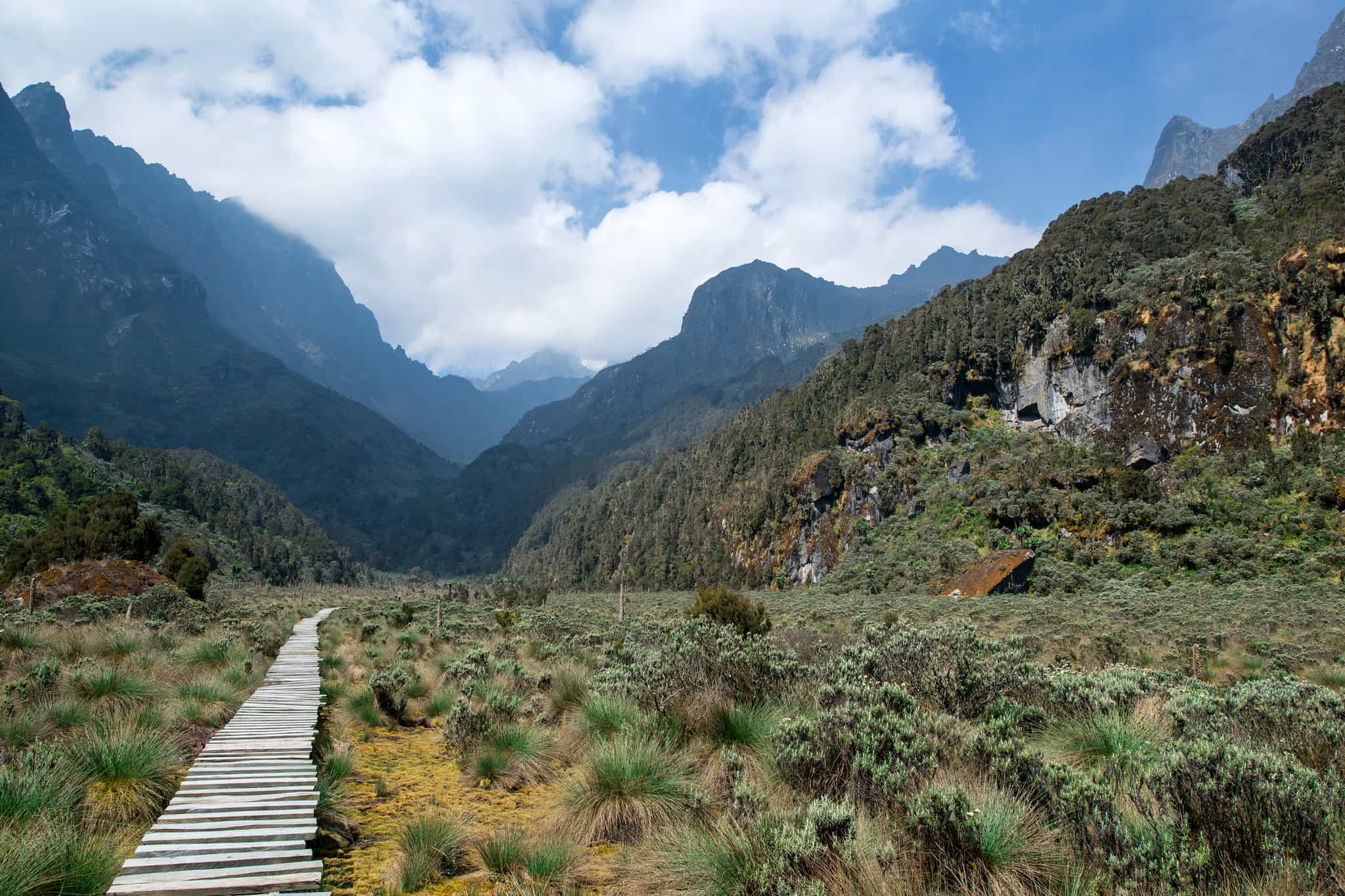 Bigo Bog - Rwenzori Mountains Trekking, Uganda
Getty images #494433421