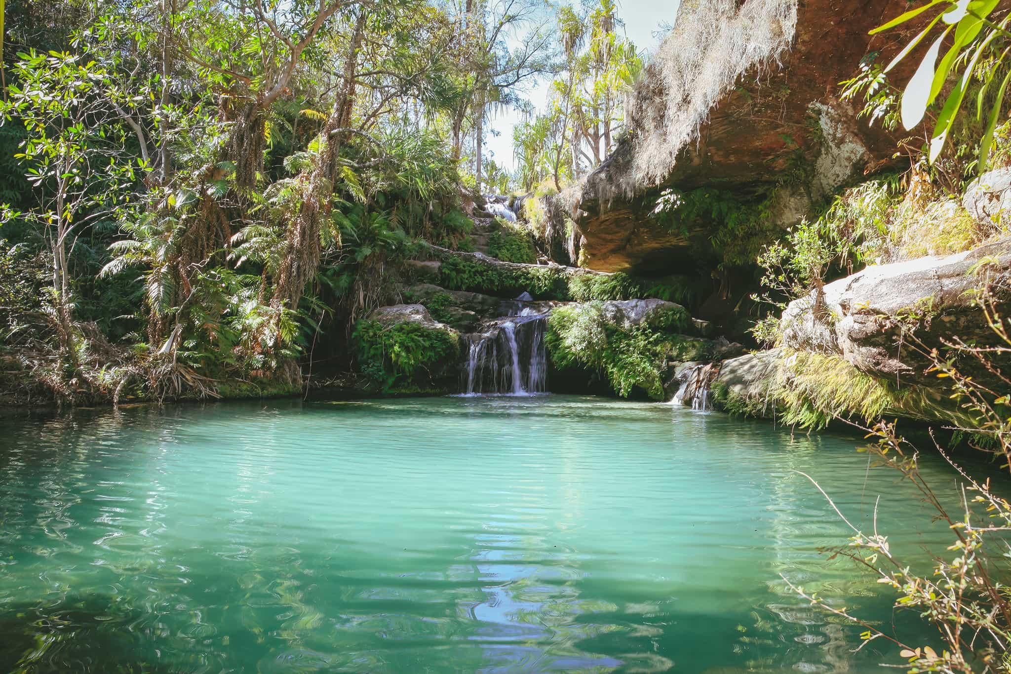 Isalo natural pool, Madagascar. Photo: GettyImages-1282996580
