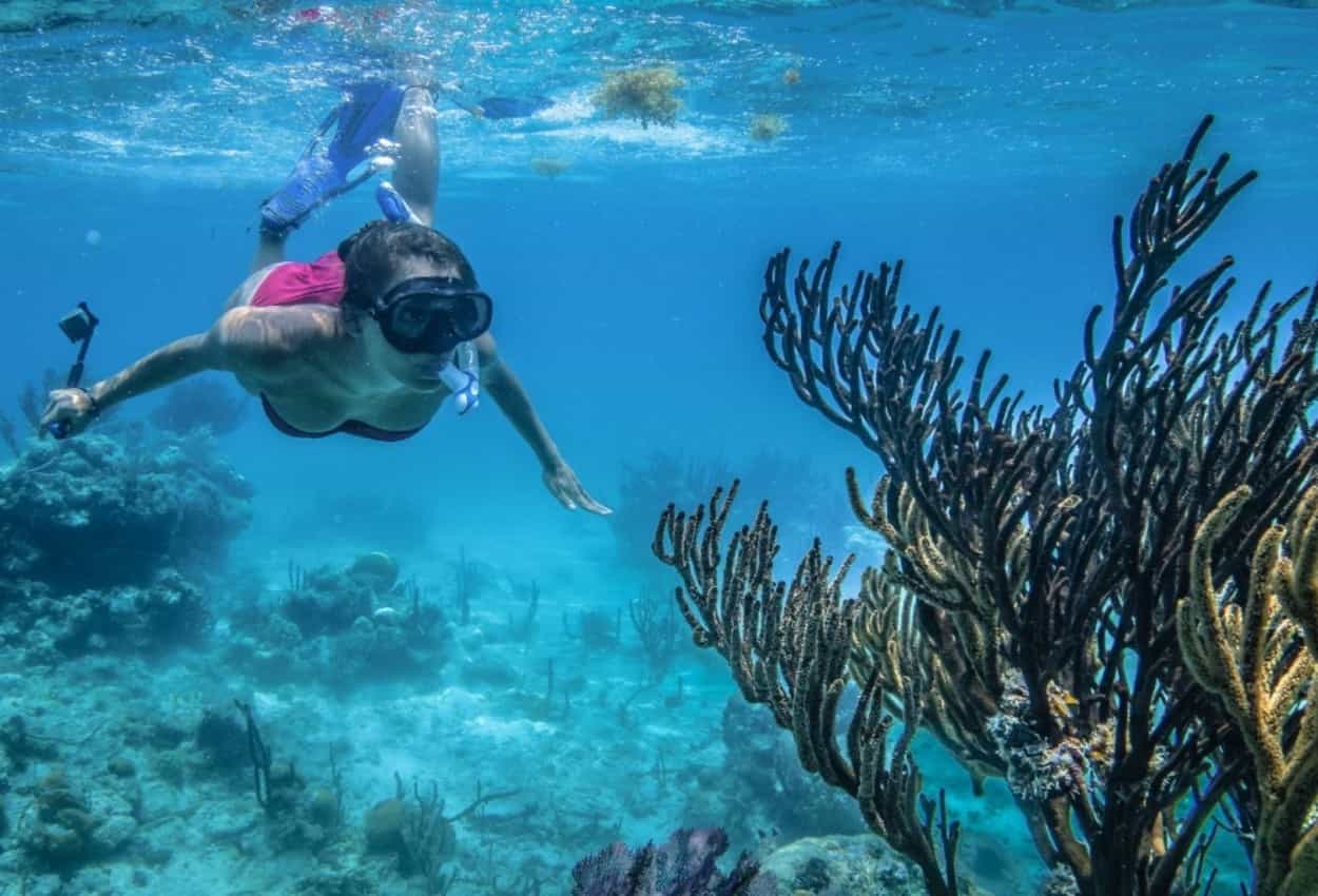 IE Belize Lighthouse Reef, snorkelling. Photo: Island Expeditions, host