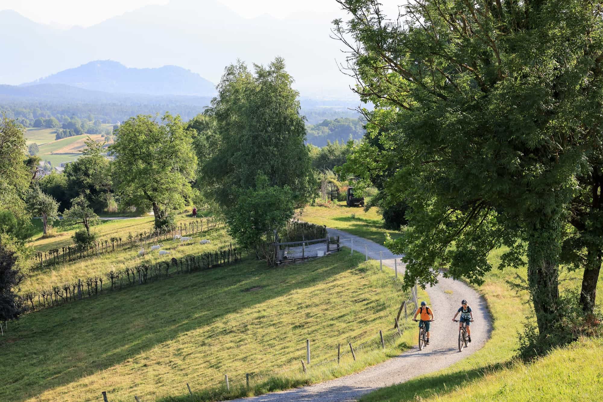 Slovenia countryside cycling Photo: Host / Life Adventures