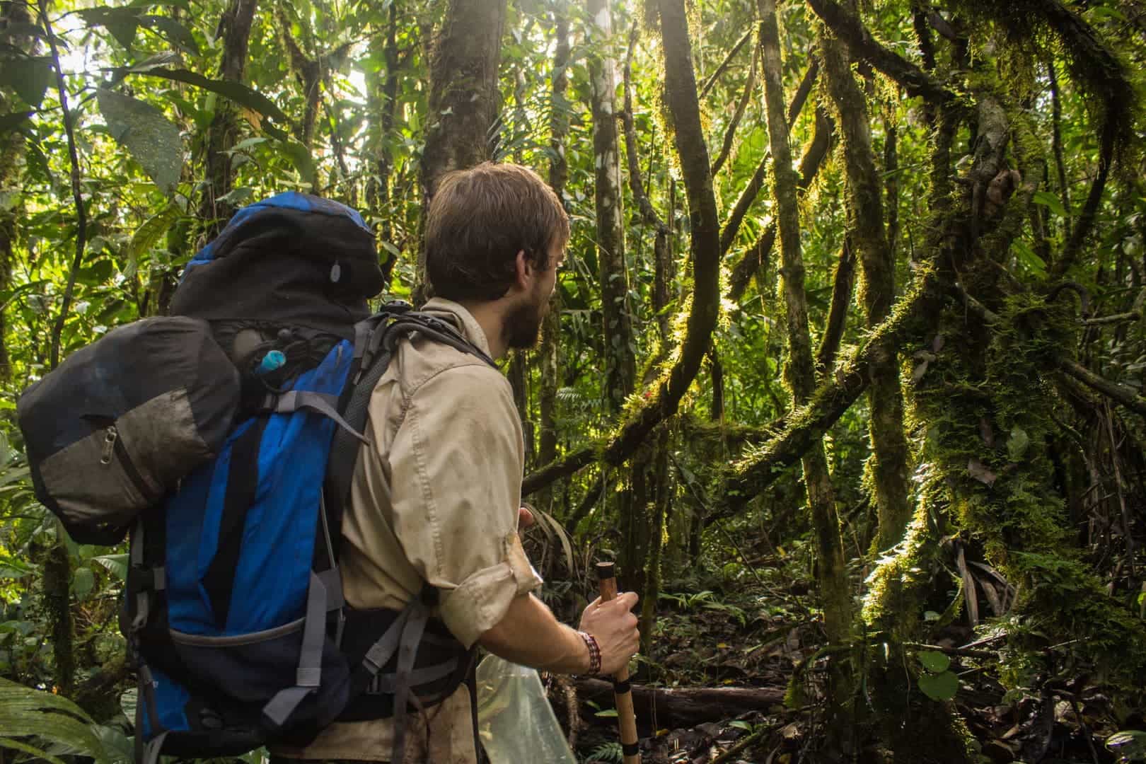 Wildlife Adventure in the Remote Peruvian Rainforest
