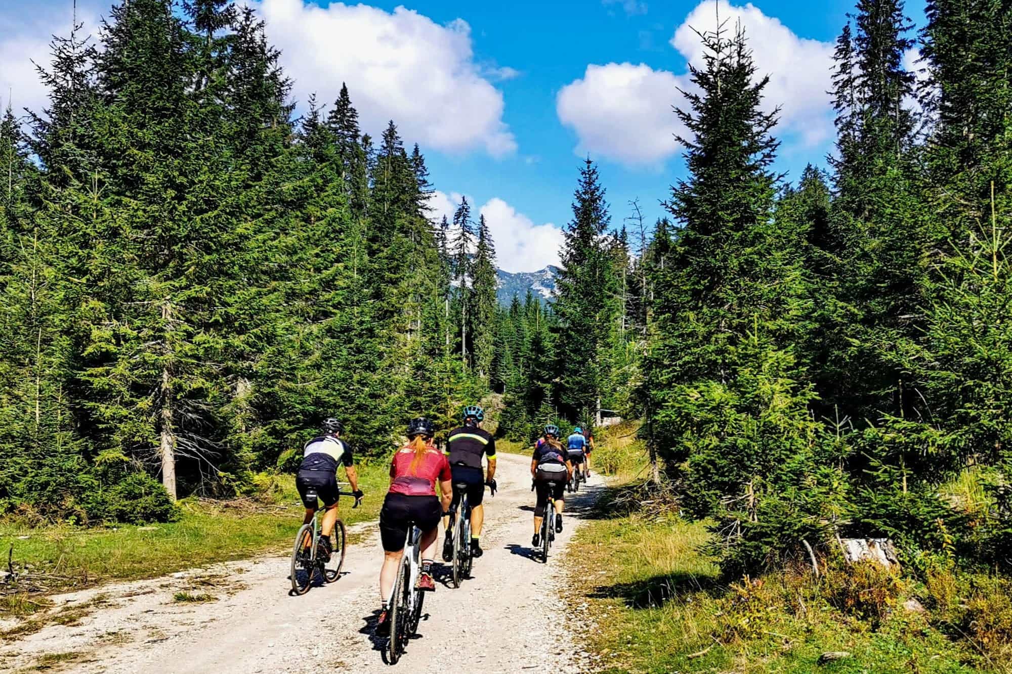 Cycle forest, Slovenia Photo: Host / Life Adventures