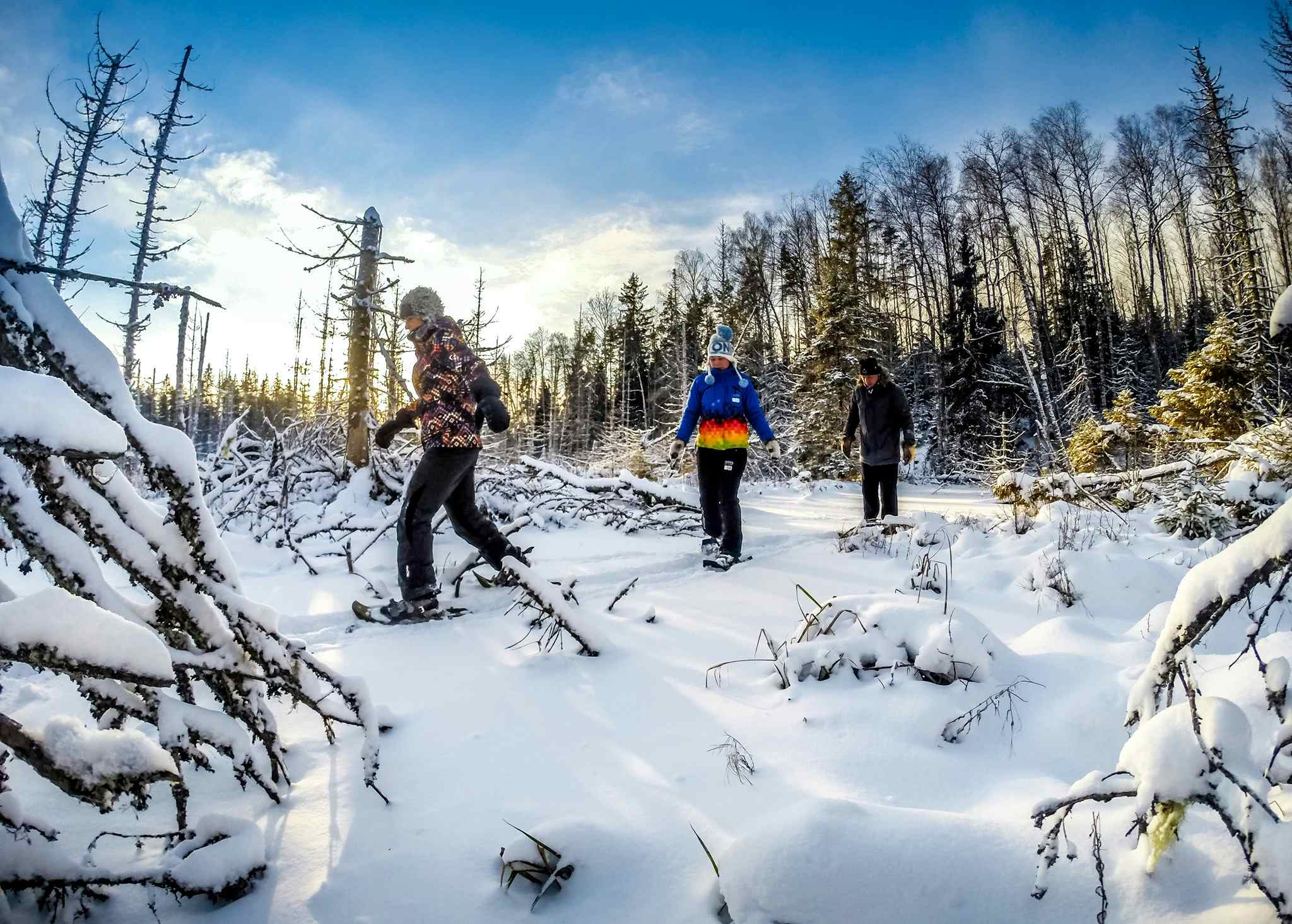 Snowshoeing Estonia. Photo: Koremaa holiday centre website