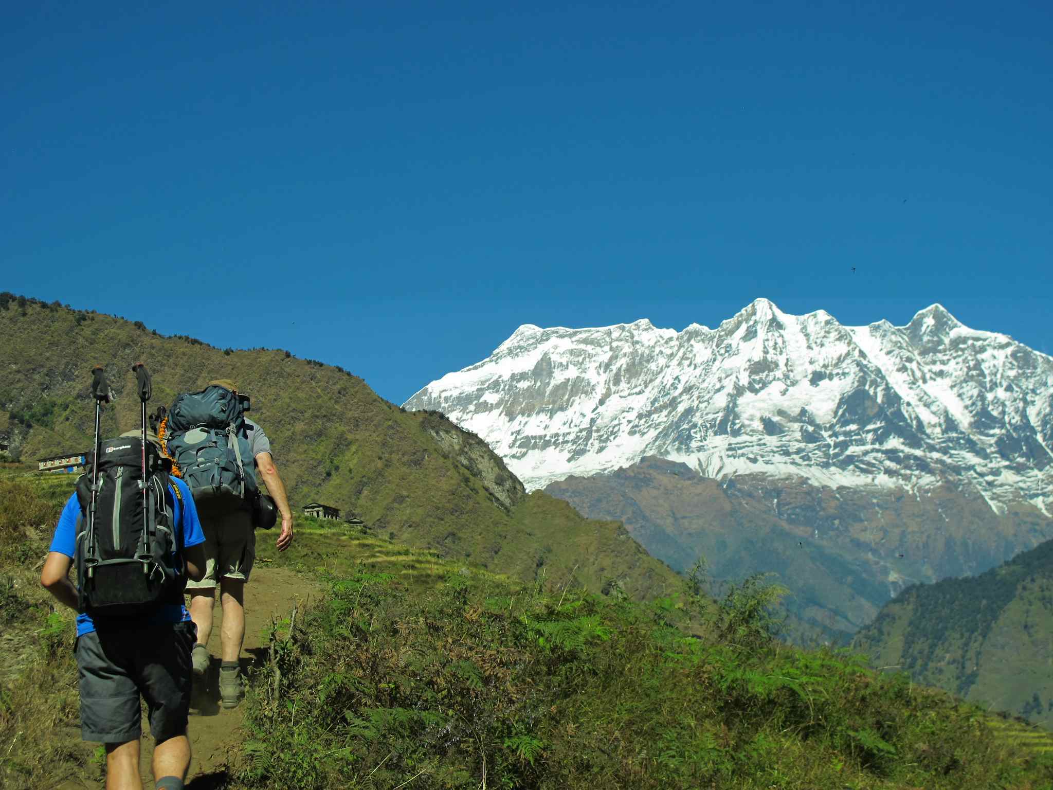 Trekking to Paiyan, Nepal. Photo: Host/Freedom Adventures
