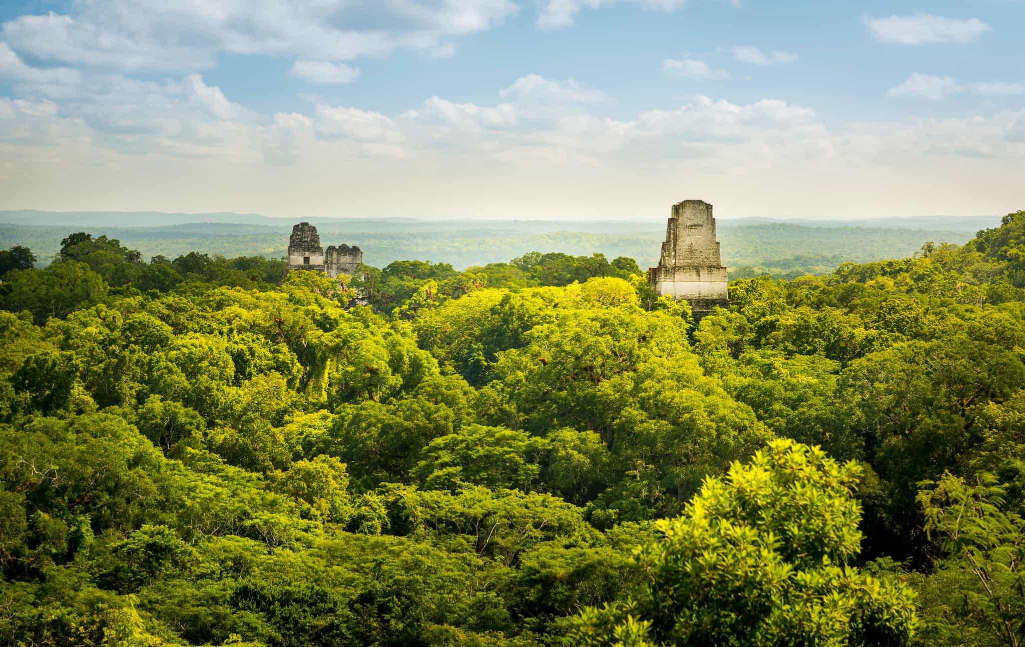 Aerial view over Tikal National Park and the Mayan ruins in Guatemala