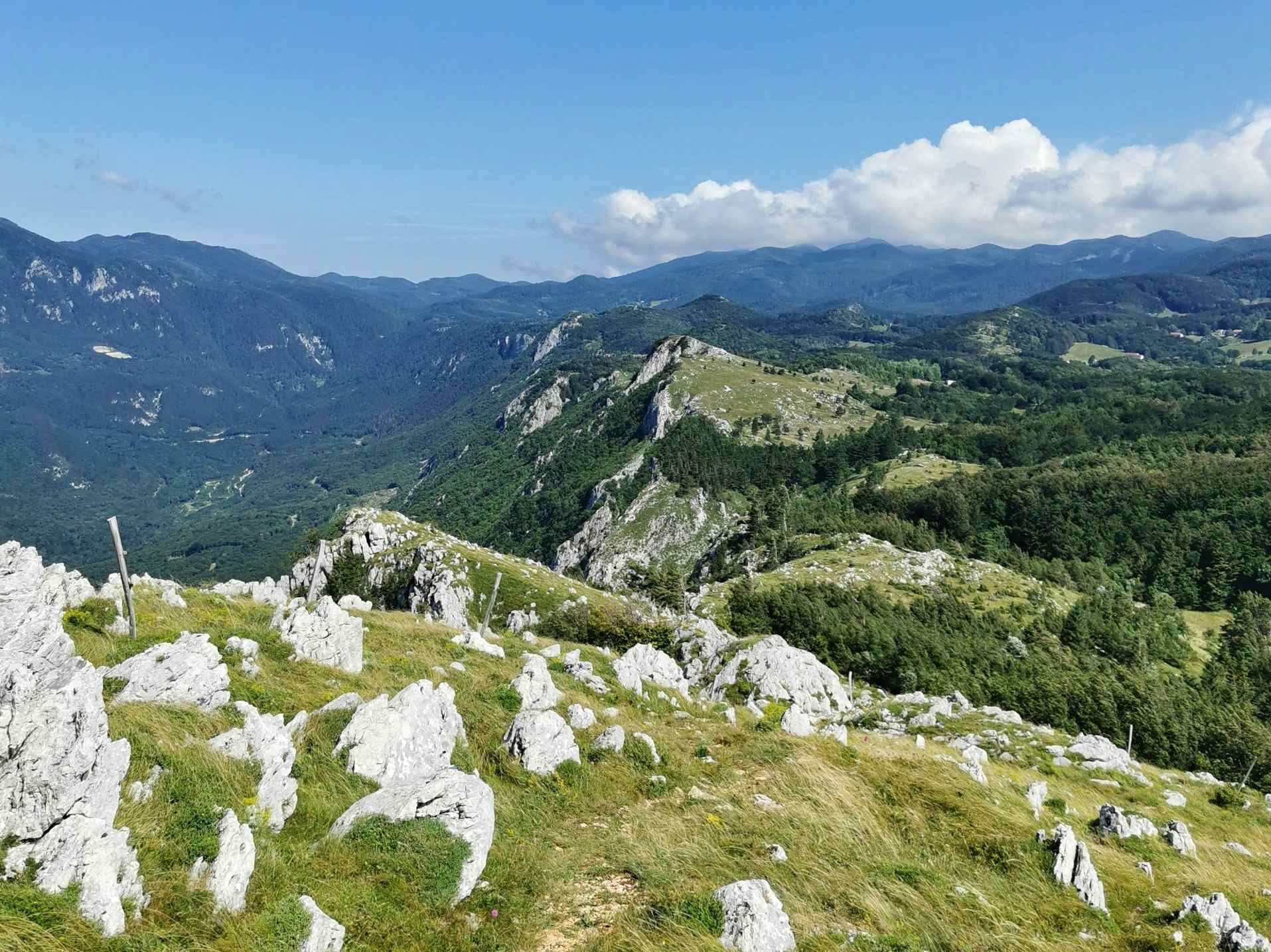 Kranjska Gora hike, Slovenia. Photo: Host/Wajdusna