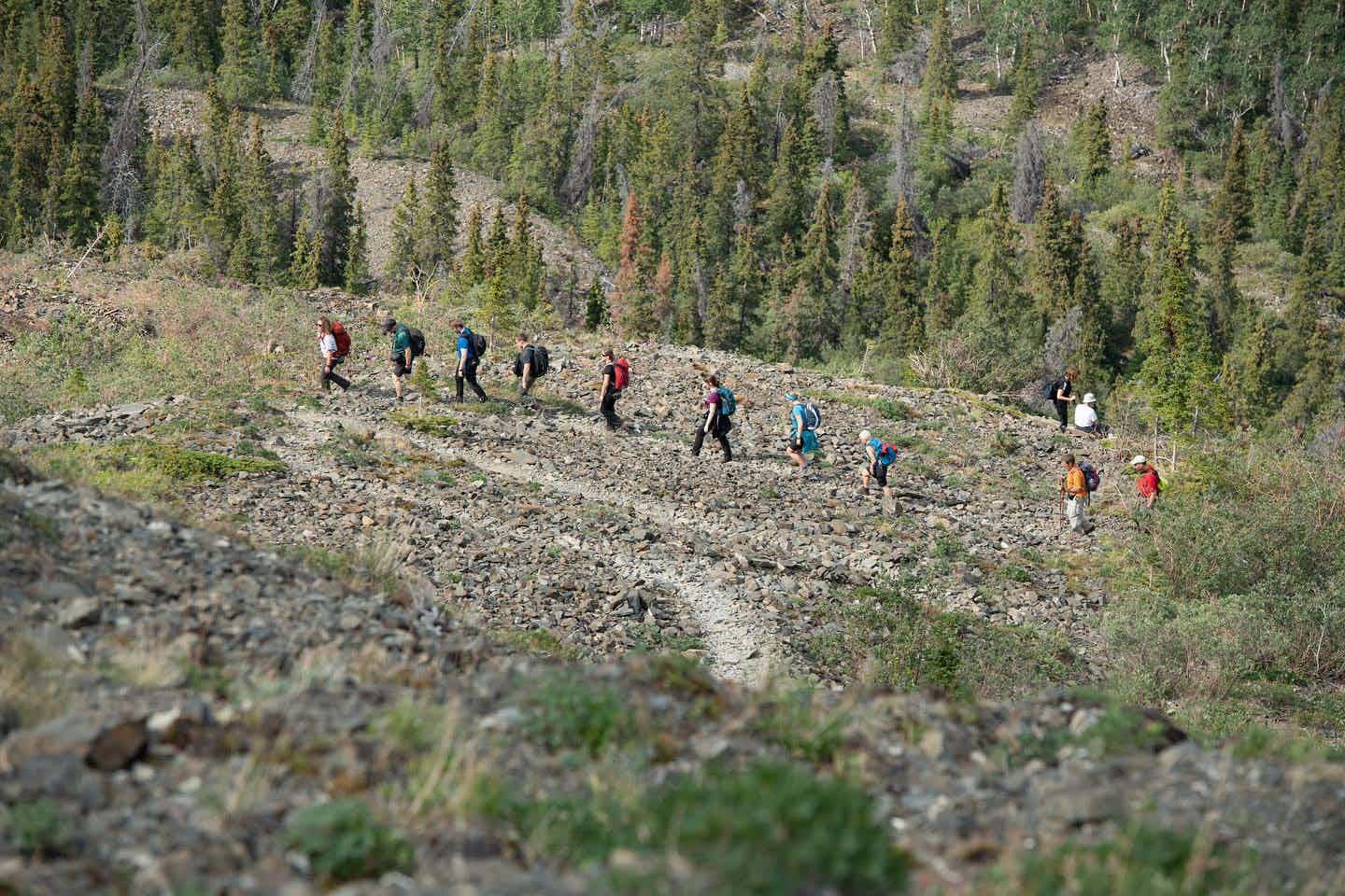 Yukon hiking, Canada
Host image: Ruby Range Adventures
