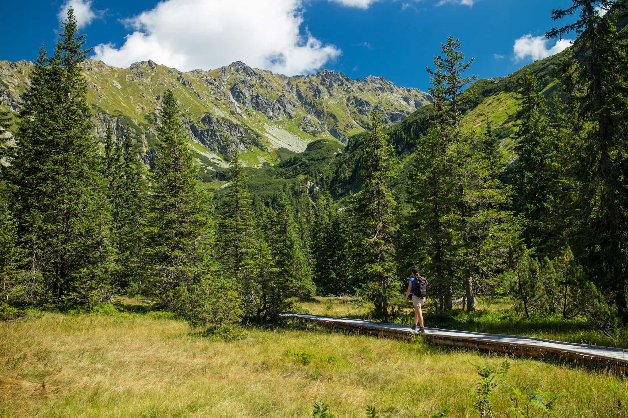 Hiker on a boardwalk in the Tatra Mountains