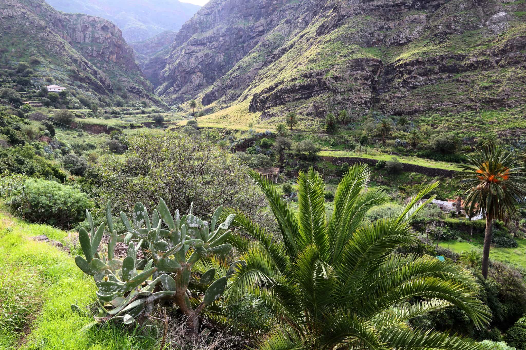 Gran Canaria landscape, Los Berrazales canyon, Spain.