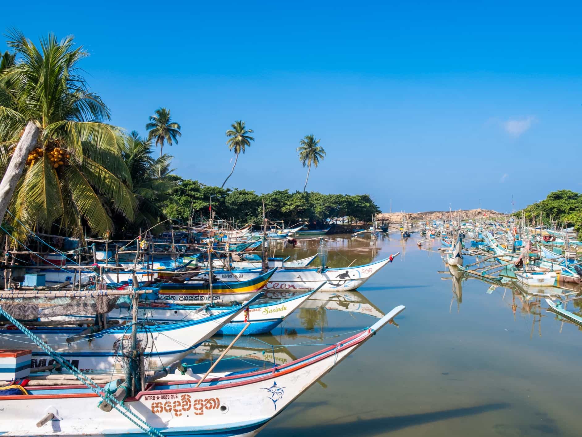 Fishing boats in Negombo, Sri Lanka.
