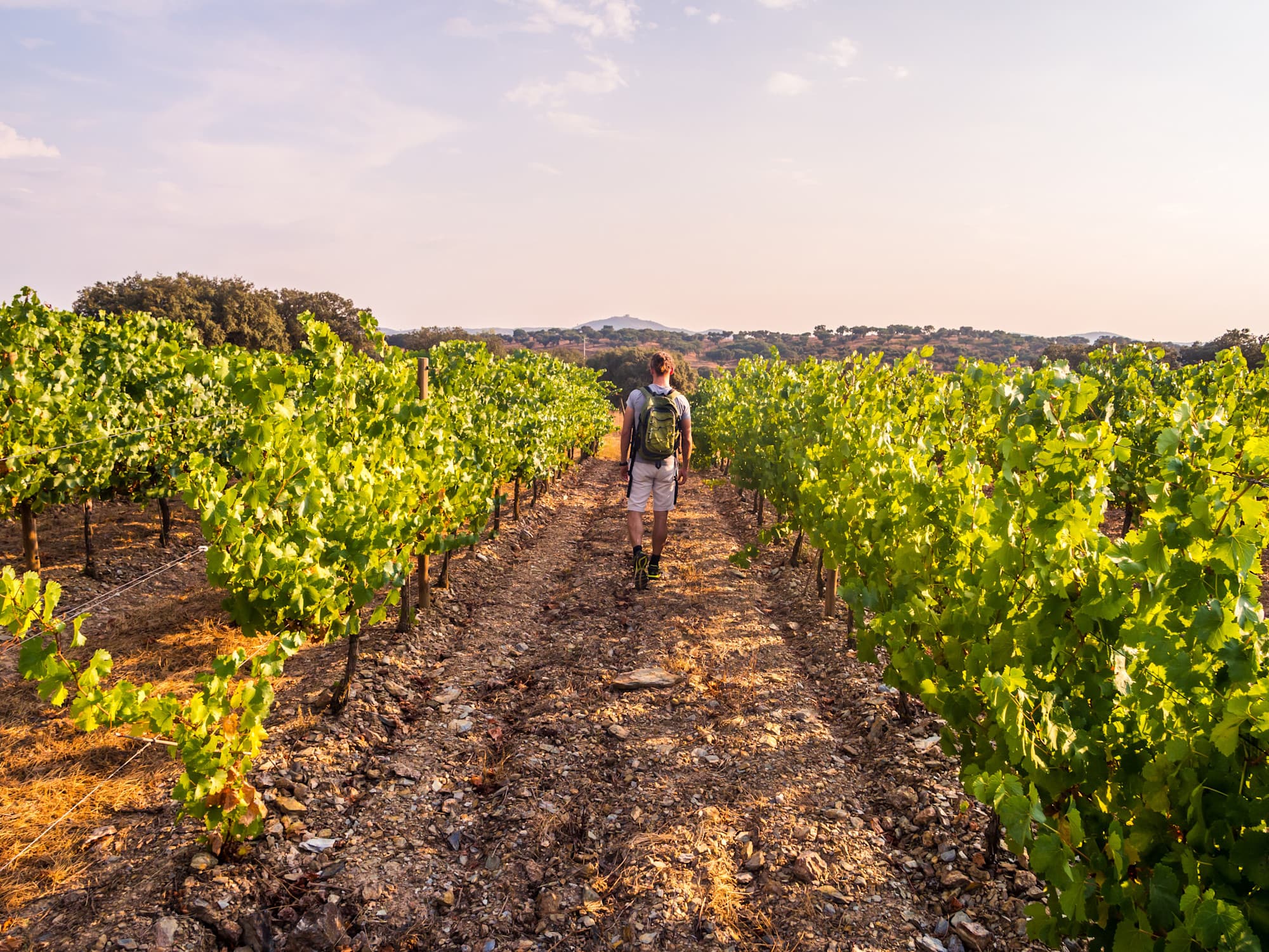 Hike and Explore the Wine Trails of Portugal