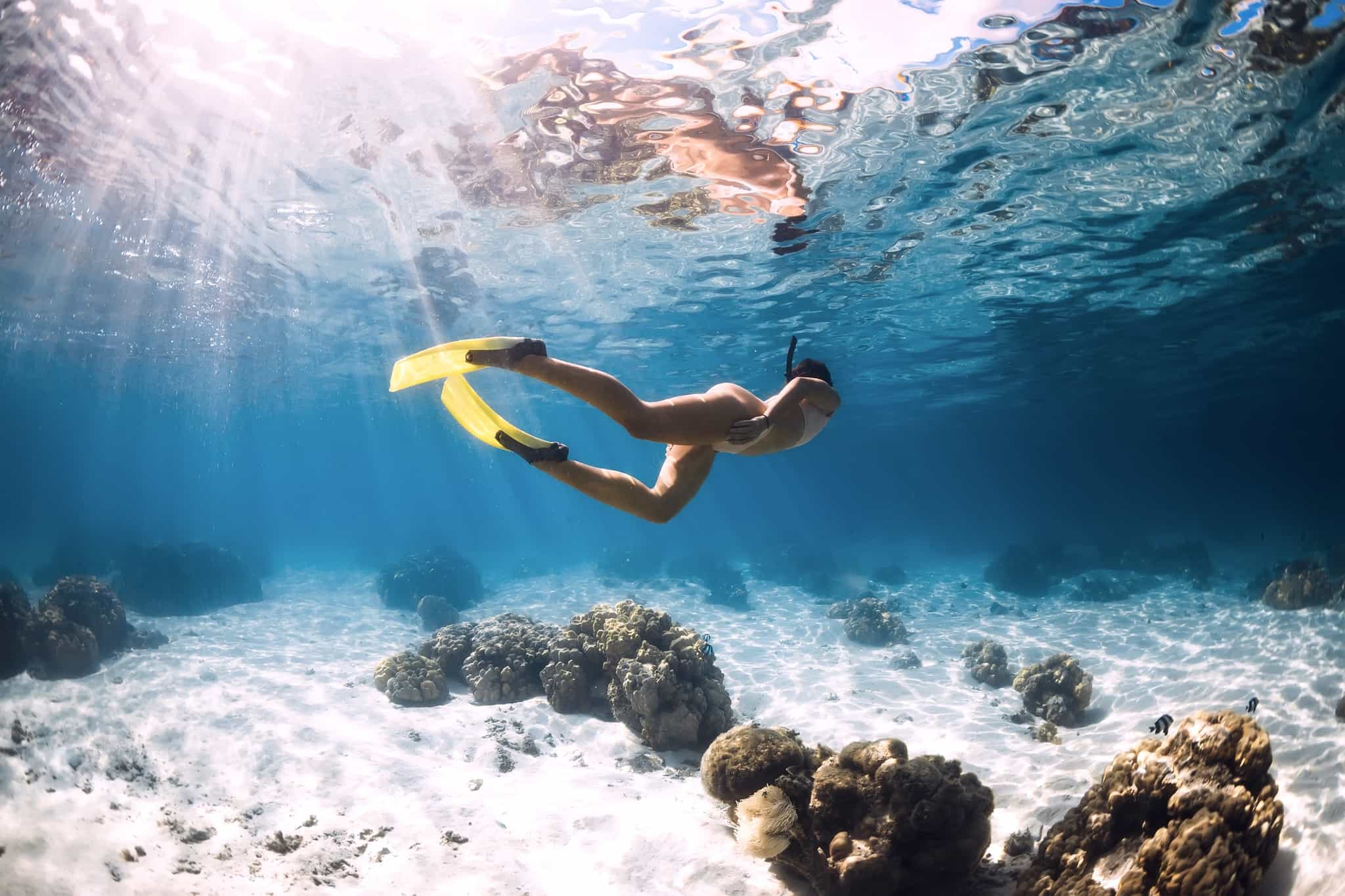 Snorkeller with yellow fins glides over sand with fish in the blue ocean