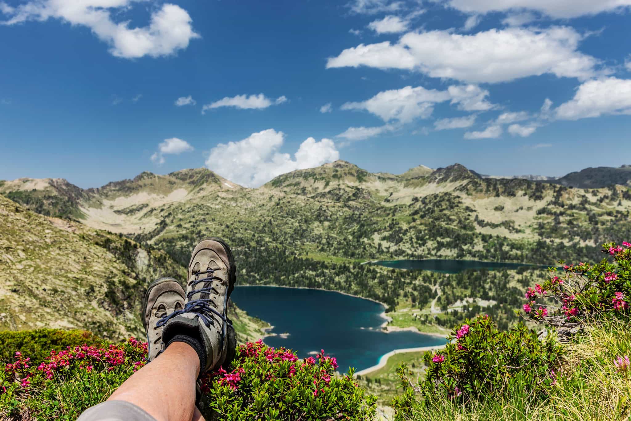 Legs with mountaineering boots between alpine roses in mountains