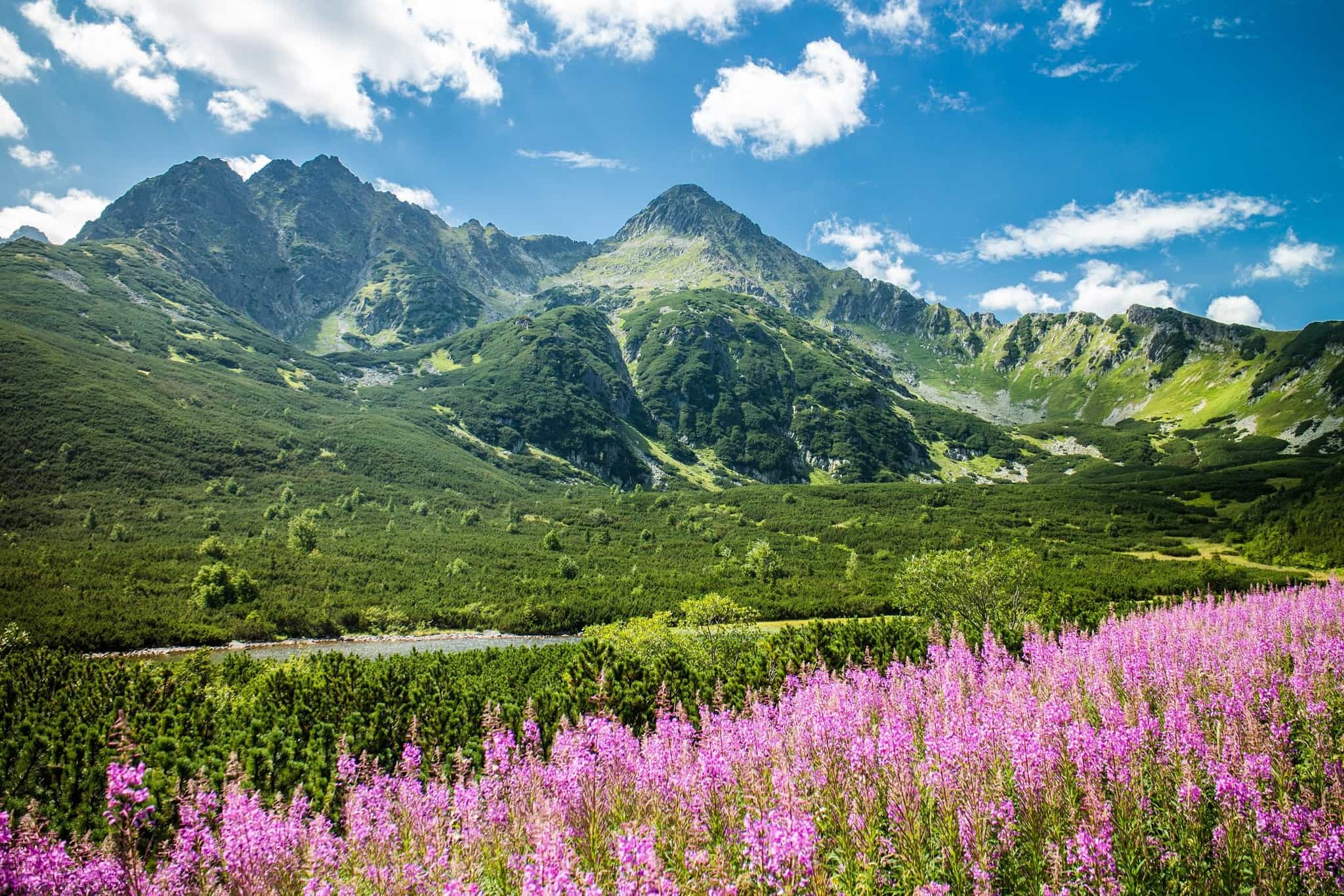 Mountain views in the Slovakian Tatra Mountains