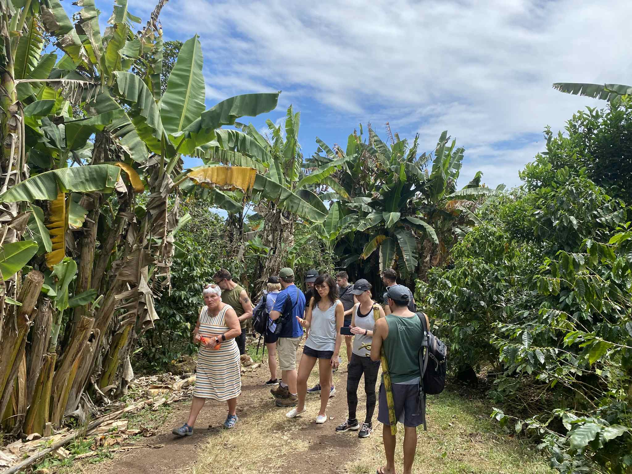 A group of people explore a coffee farm in the Santa Cruz highlands of the Galapagos.  