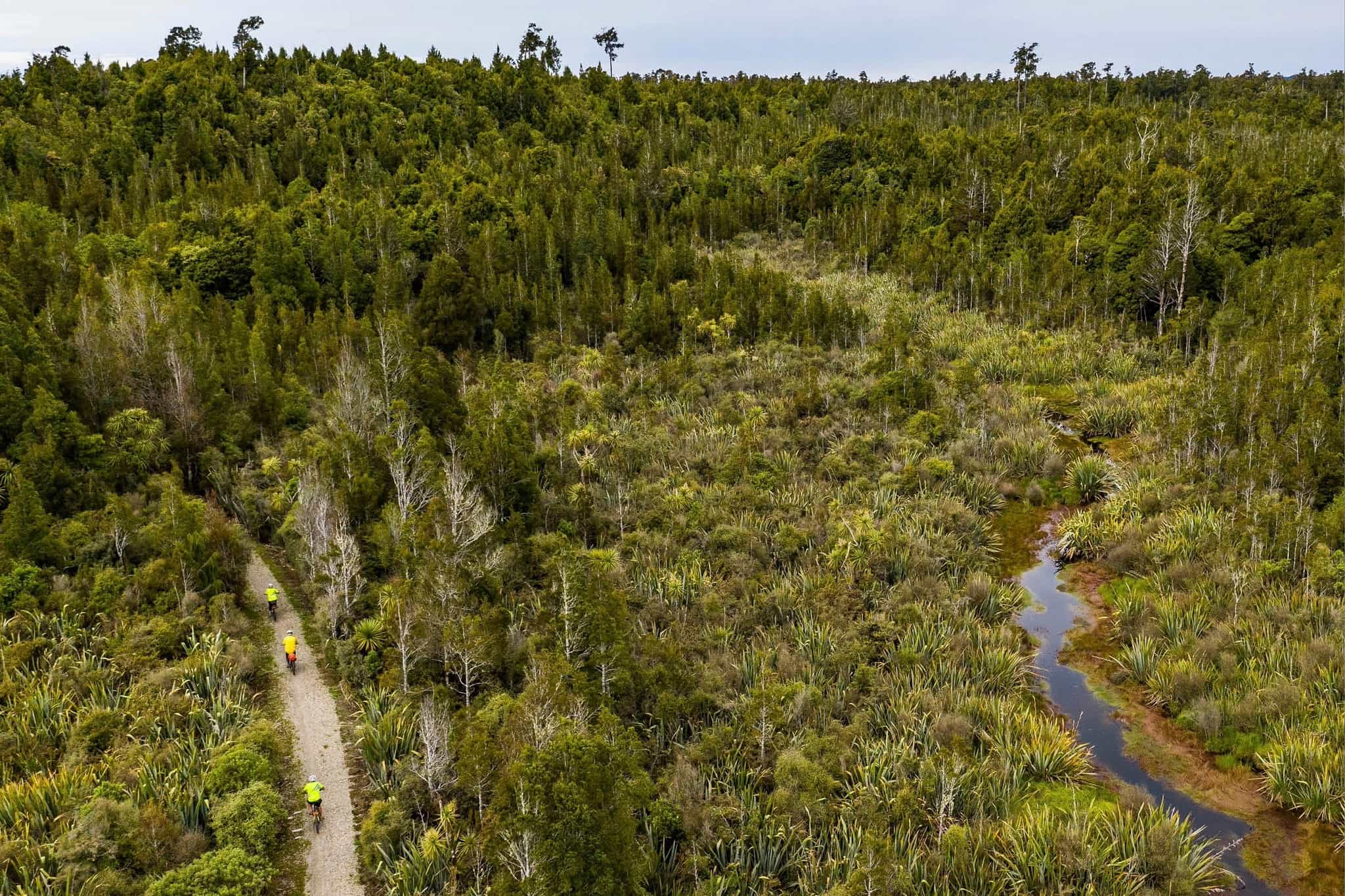 Cyclists on the West Coast Wilderness Trail, New Zealand