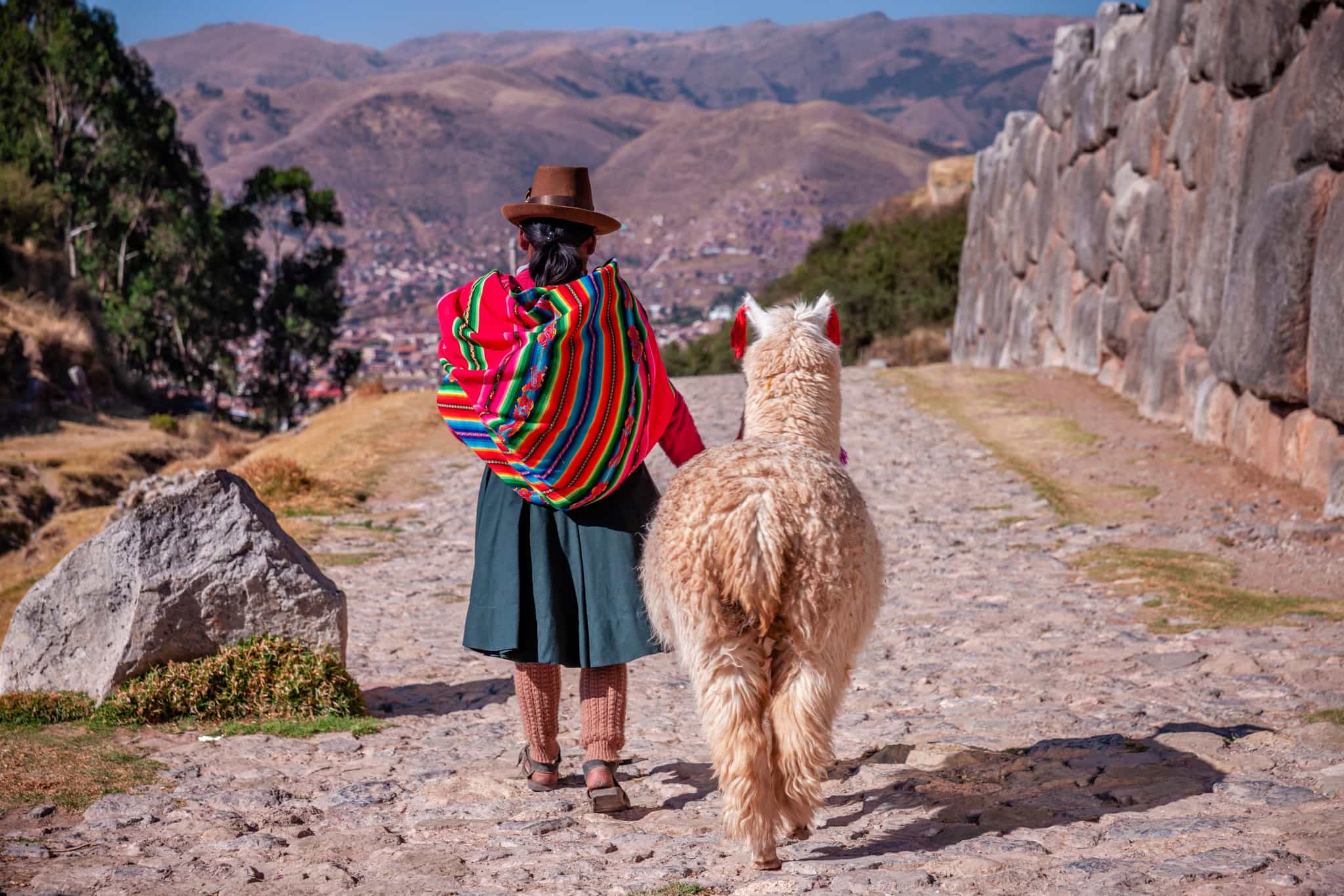 Peruvian women in traditional dress walks a llama down a cobbled street in Cusco