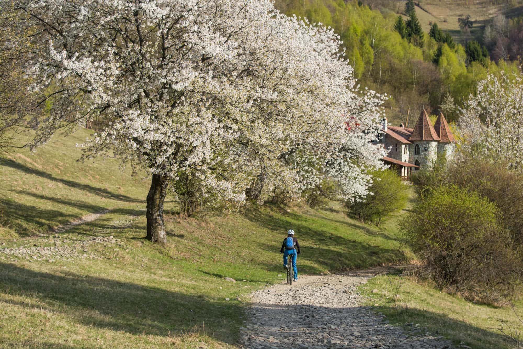 Cycling, Transyvania Romania, spring Phpto:shutterstock 1023410887