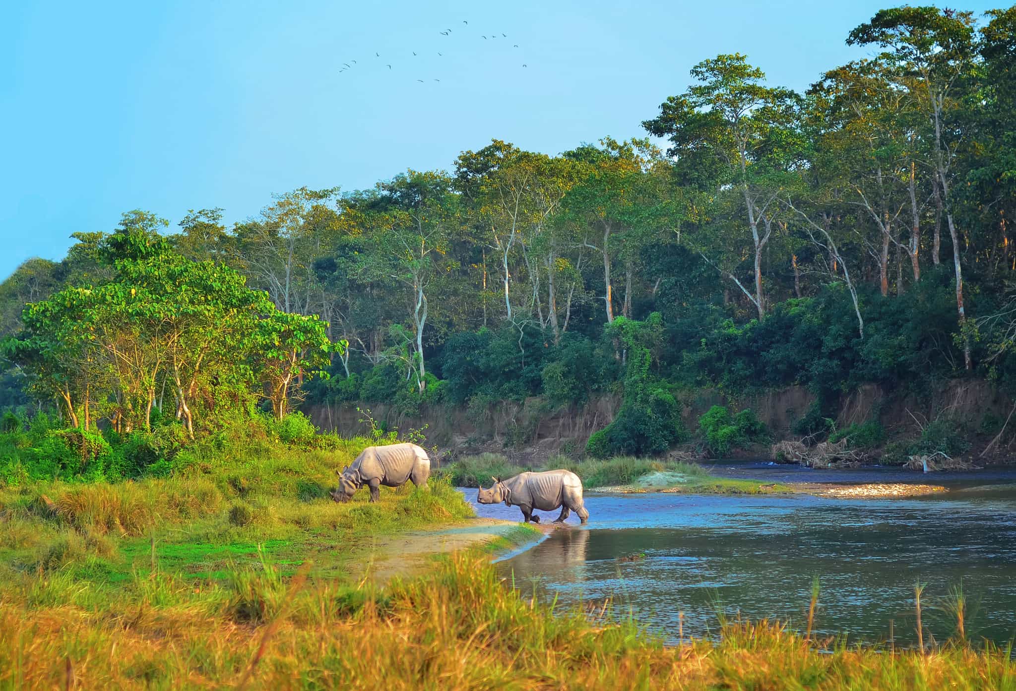 Chitwan, Nepal. Photo: GettyImages-517194354