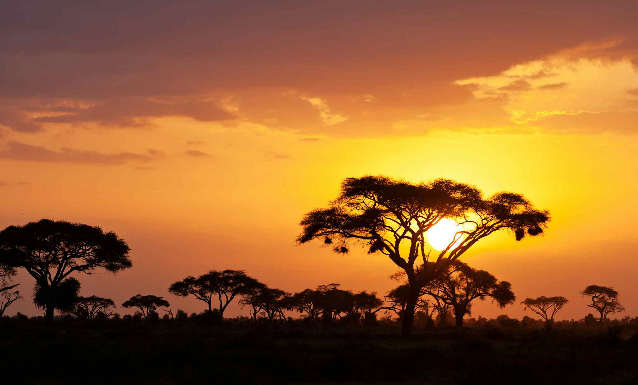 African sunset, Kenya. Photo: GettyImages-596072022