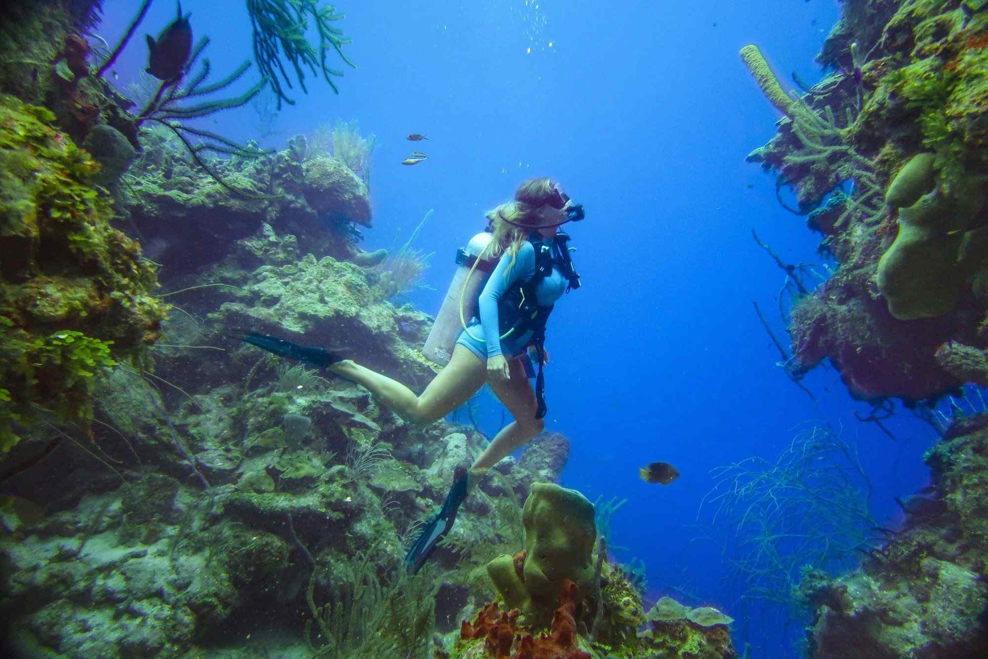 Dive the Belize Barrier Reef
