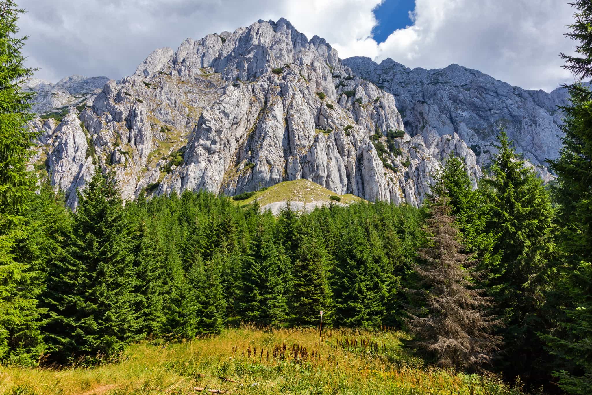 Carpathian Mountains, Romania
Shutterstock: 408894829