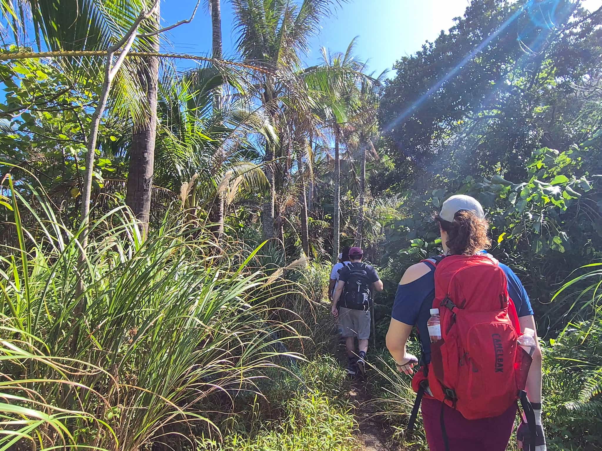 Hiking Alangy Trail, Taiwan.