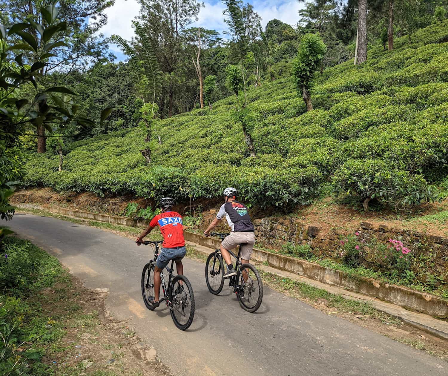 Cycling through tea estate terraces, Sri Lanka