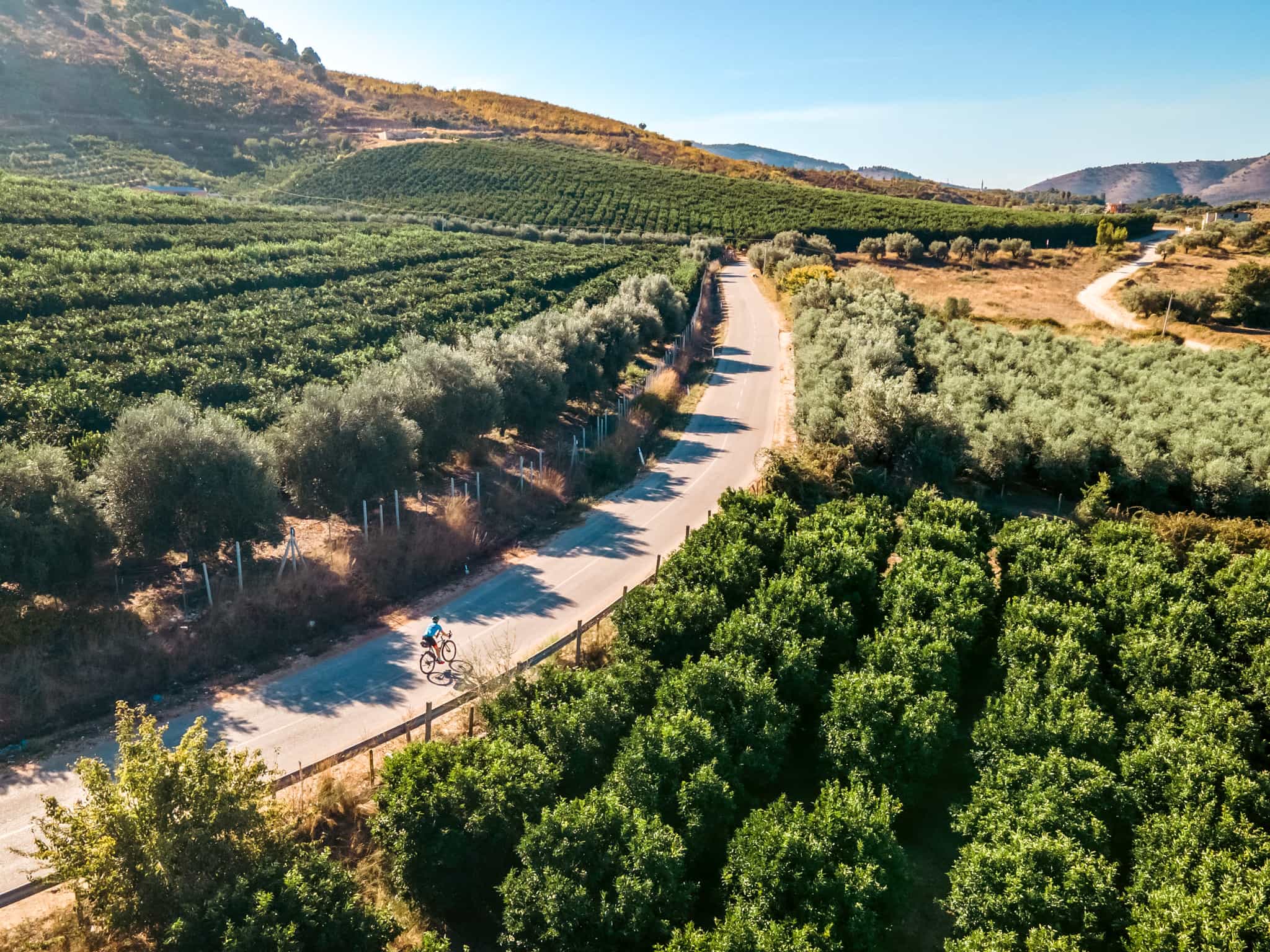 Cycling through Lemon fields in Albania