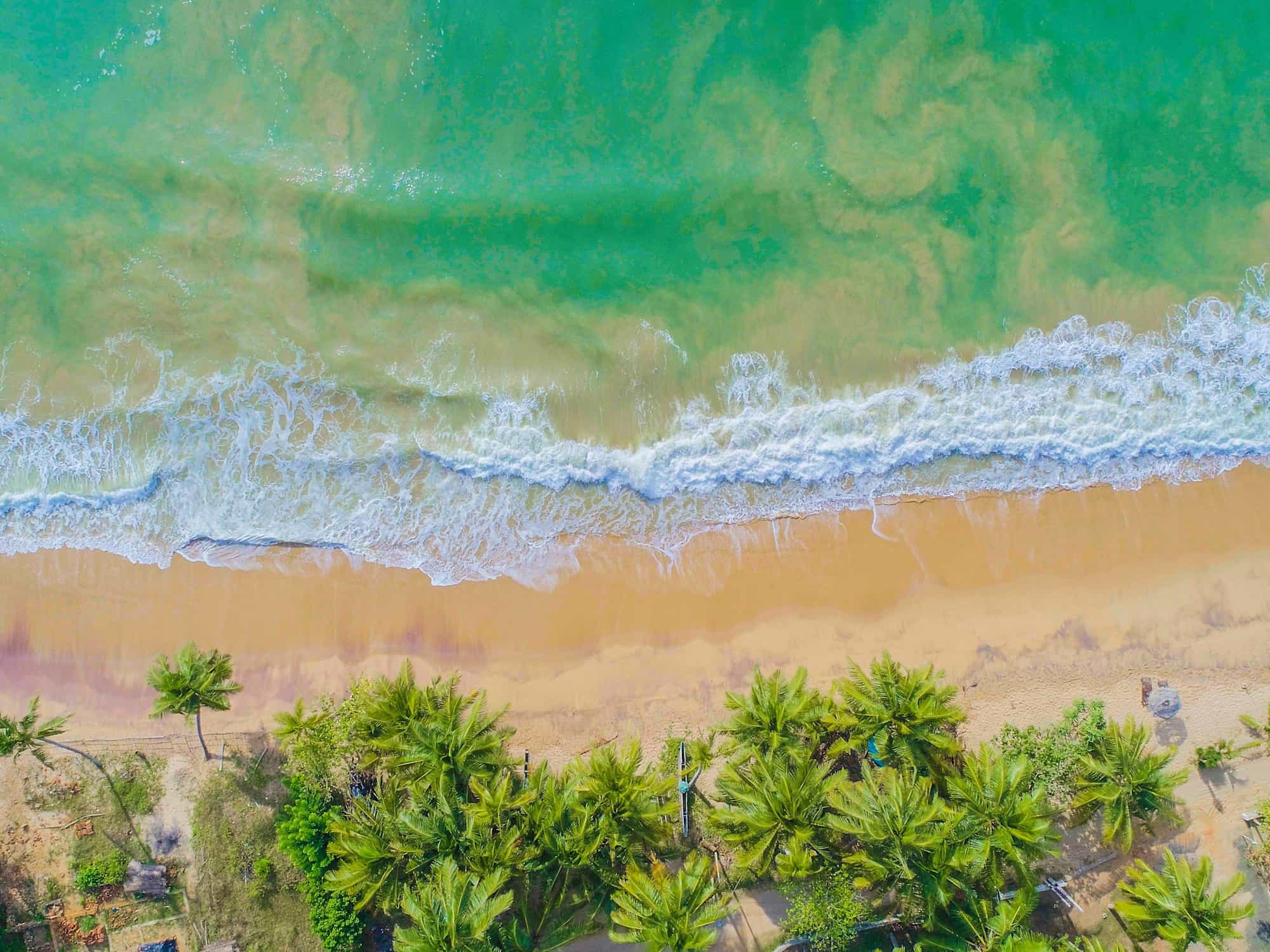 Aerial view of a beach in Sri Lanka