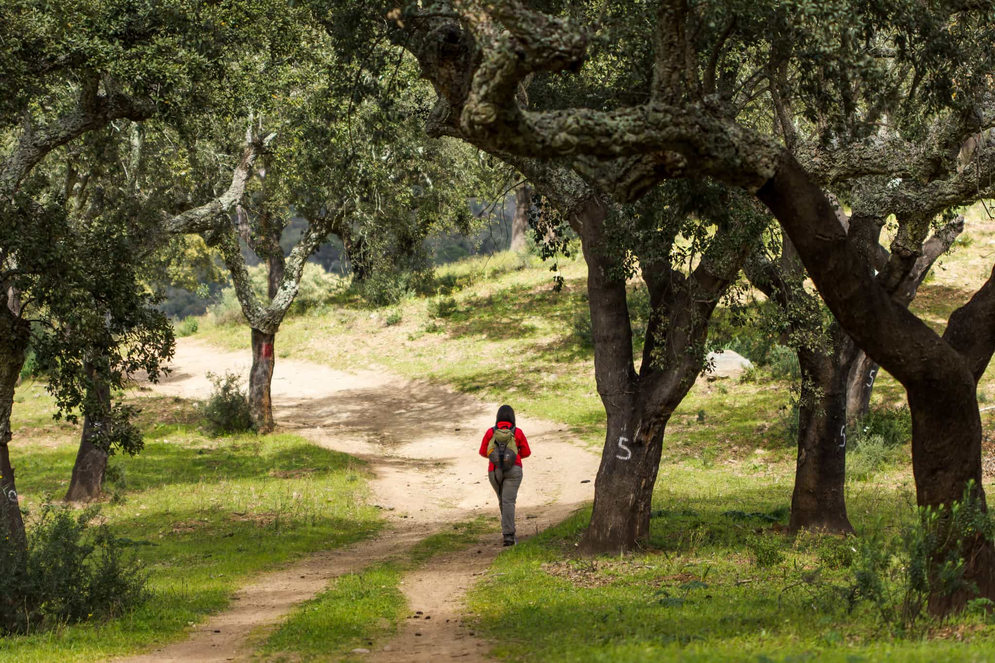 Hiking in Alentejo countryside