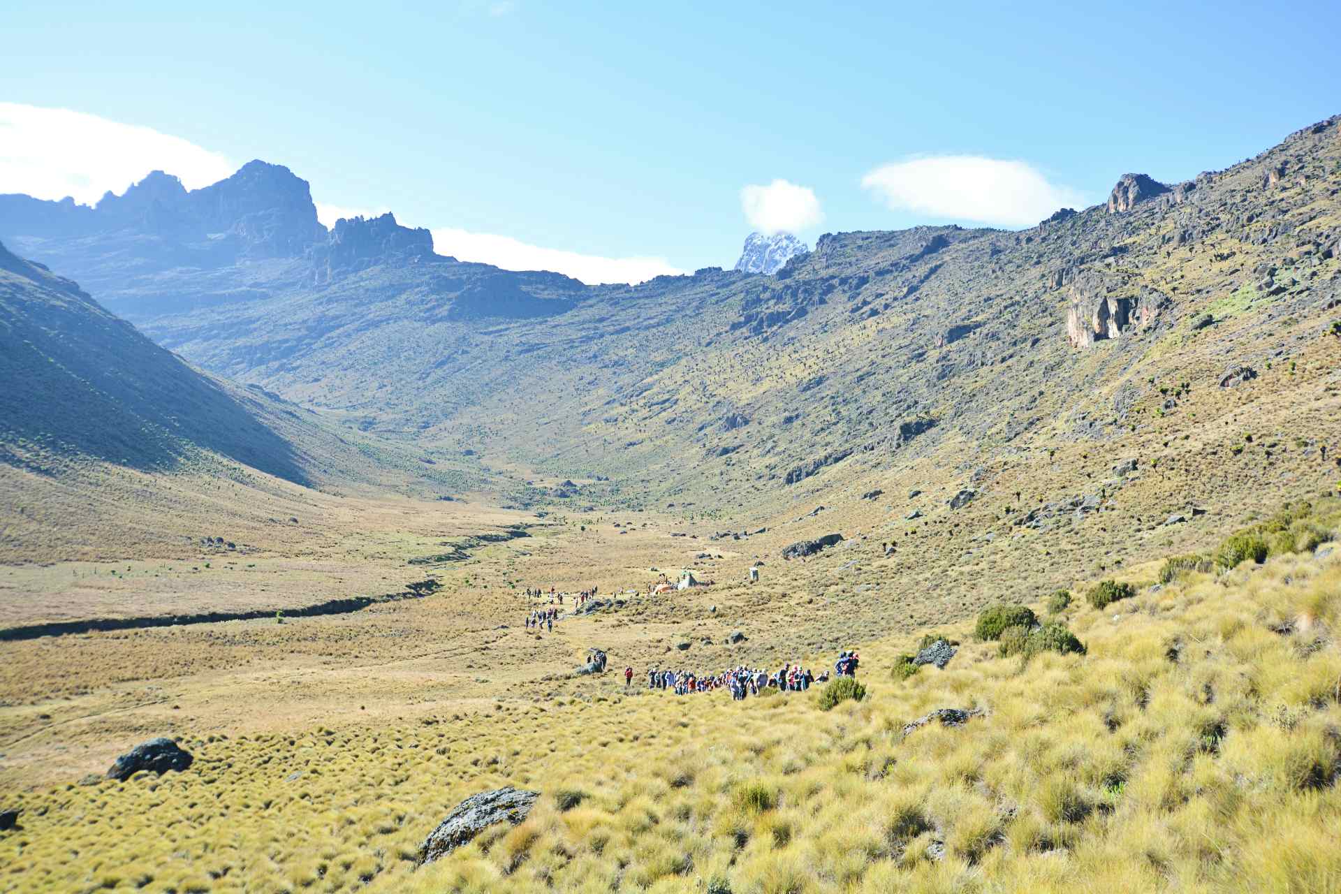 Mount Kenya Trek. Photo: Host/Savage Wilderness