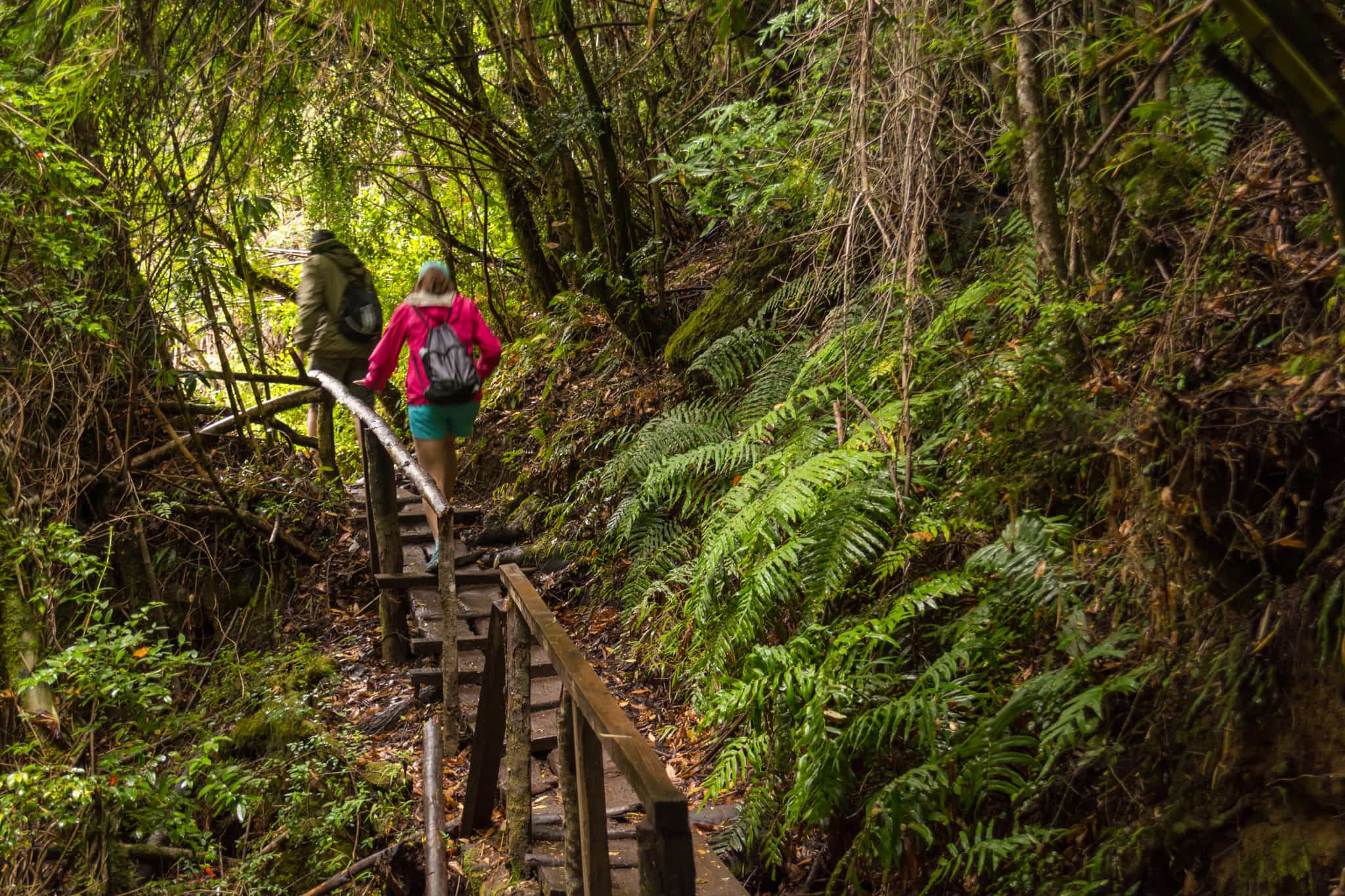 Trekking in Northern Patagonia, Chile, Getty