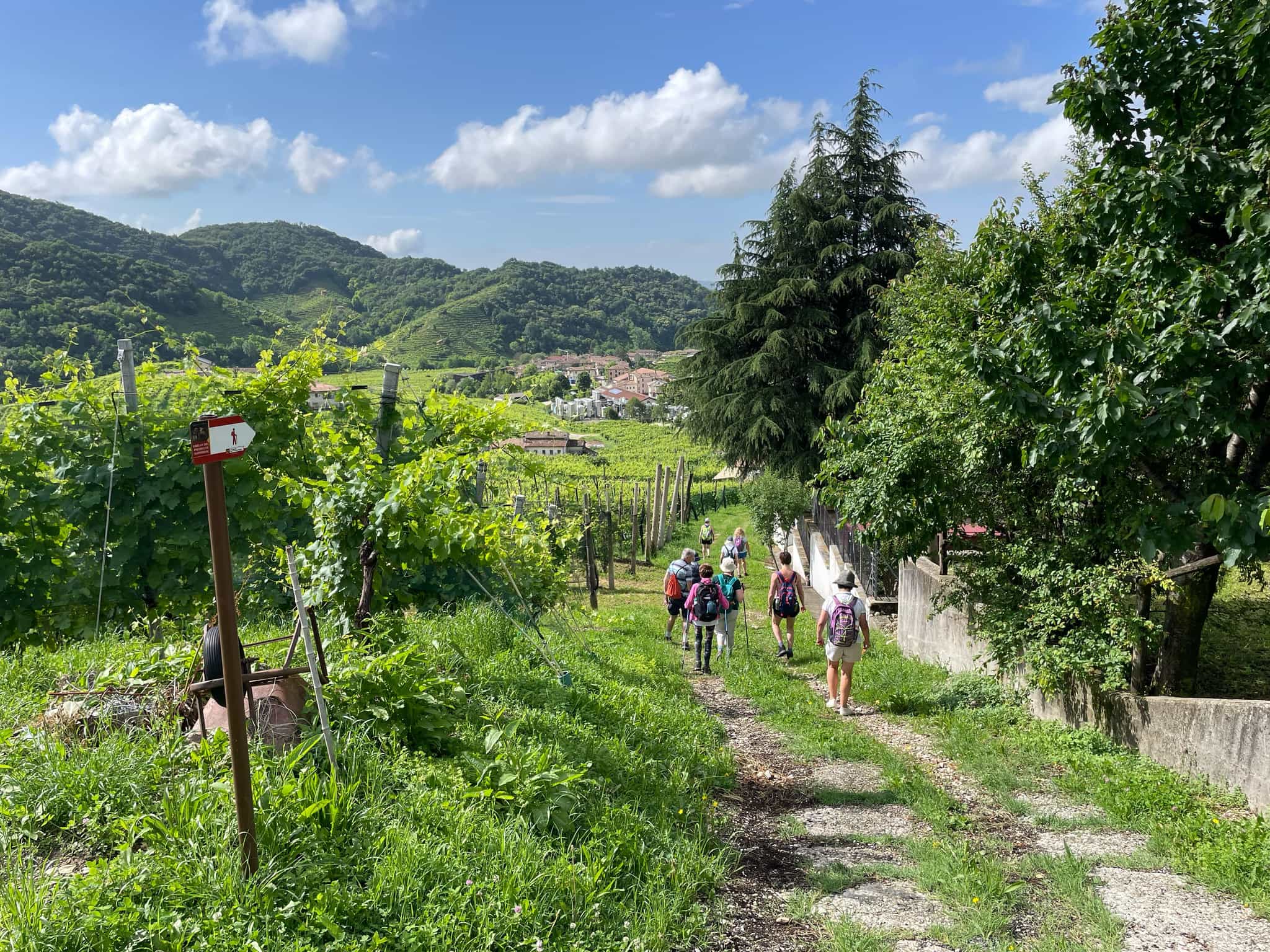 Hiking Prosecco Hills.