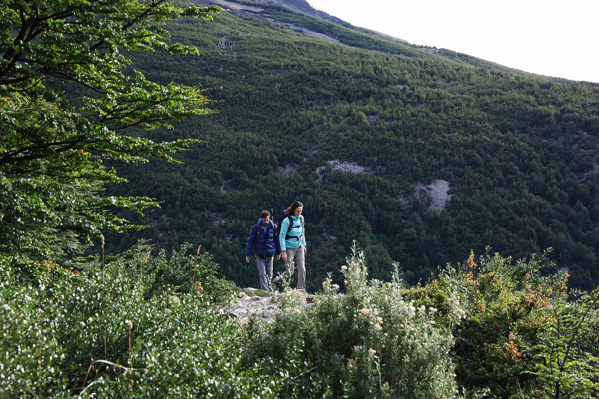 Hikers walking through the forest of the French Valley in Torres del Paine