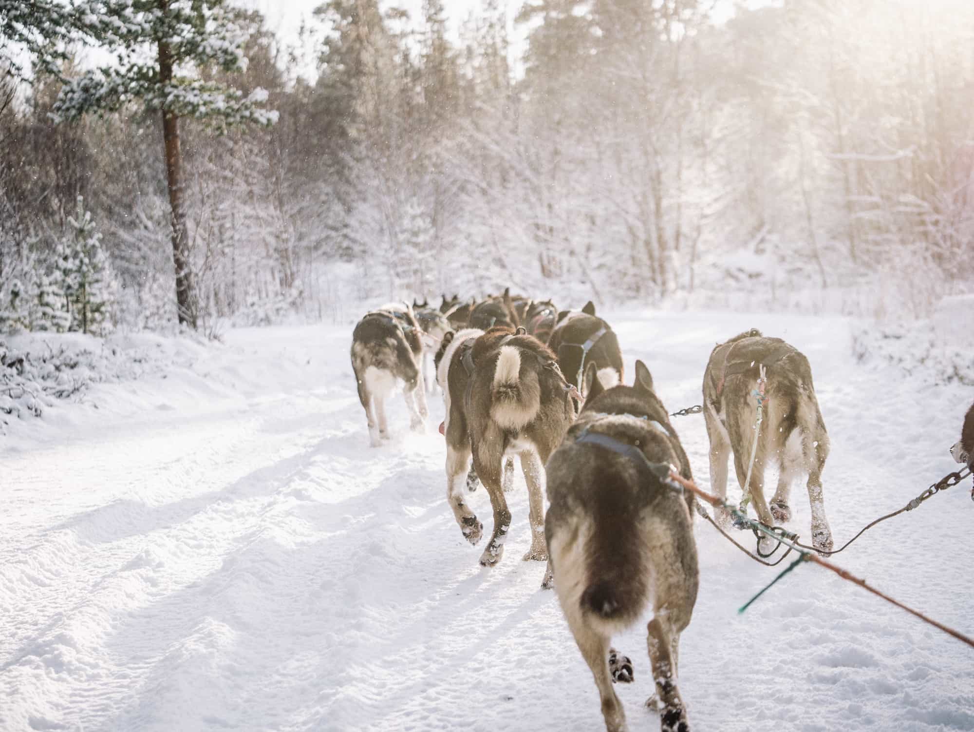 Ultimate Arctic Circle Adventure in Norway Day 1